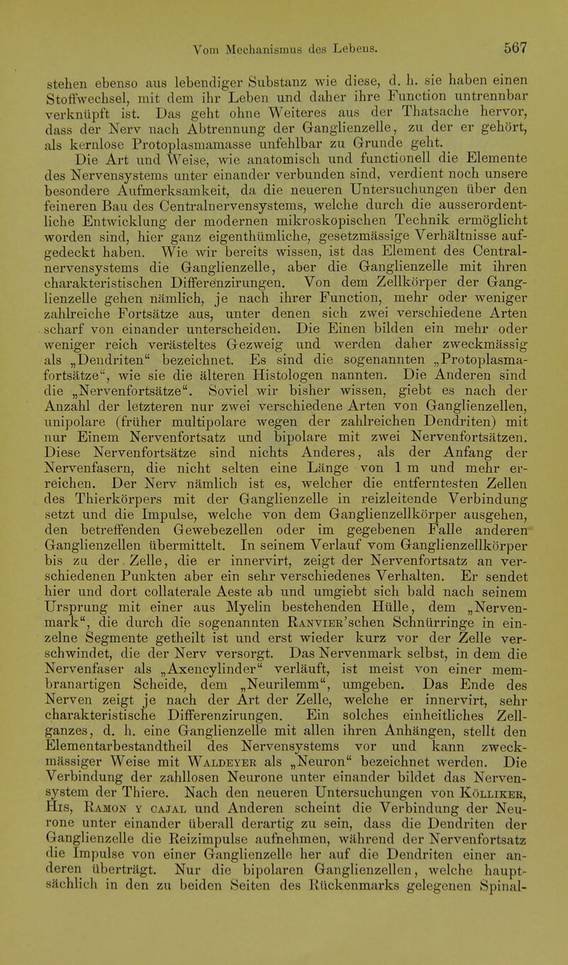 stehen ebenso aus lebendiger Substanz wie diese, d. h. sie haben einen Stoffwechsel, mit dem ihr Leben und daher ihre Function untrennbar verknüpft ist. Das geht ohne Weiteres aus der Thatsache hervor, dass der Nerv nach Abtrennung der Ganglienzelle, zu der er gehört, als kernlose Protoplasmamasse unfehlbar zu Grunde geht. Die Art und Weise, wie anatomisch und functionell die Elemente des Nervensystems unter einander verbunden sind, verdient noch unsere besondere Aufmerksamkeit, da die neueren Untersuchungen über den feineren Bau des Centrainervensystems, welche durch die ausserordent- liche Entwicklung der modernen mikroskopischen Technik ermöglicht worden sind, hier ganz eigenthümliche, gesetzmässige Verhältnisse auf- gedeckt haben. Wie wir bereits wissen, ist das Element des Centrai- nervensystems die Ganglienzelle, aber die Ganglienzelle mit ihren charakteristischen Differönzirungen. Von dem Zellkörper der Gang- lienzelle gehen nämlich, je nach ihrer Function, mehr oder weniger zahlreiche Fortsätze aus, unter denen sich zwei verschiedene Arten scharf von einander unterscheiden. Die Einen bilden ein mehr oder weniger reich verästeltes Gezweig und werden daher zweckmässig als „Dendriten bezeichnet. Es sind die sogenannten „Protoplasma- fortsätze, wie sie die älteren Histologen nannten. Die Anderen sind die „Nervenfortsätze. Soviel wir bisher wissen, giebt es nach der Anzahl der letzteren nur zwei verschiedene Arten von Ganglienzellen, unipolare (früher multipolare wegen der zahlreichen Dendriten) mit nur Einem Nervenfortsatz und bipolare mit zwei Nervenfortsätzen. Diese Nervenfortsätze sind nichts Anderes, als der Anfang der Nervenfasern, die nicht selten eine Länge von 1 m und mehr er- reichen. Der Nerv nämlich ist es, welcher die entferntesten Zellen des Thierkörpers mit der Ganglienzelle in reizleitende Verbindung setzt und die Impulse, welche von dem Ganglienzellkörper ausgehen, den betreffenden Gewebezellen oder im gegebenen Falle anderen Ganglienzellen übermittelt. In seinem Verlauf vom Ganglienzellkörper bis zu der. Zelle, die er innervirt, zeigt der Nervenfortsatz an ver- schiedenen Punkten aber ein sehr verschiedenes Verhalten. Er sendet hier und dort collaterale Aeste ab und umgiebt sich bald nach seinem Ursprung mit einer aus Myelin bestehenden Hülle, dem „Nerven- mark, die durch die sogenannten RANViER'schen Schnürringe in ein- zelne Segmente getheilt ist und erst wieder kurz vor der Zelle ver- schwindet, die der Nerv versorgt. Das Nervenmark selbst, in dem die Nervenfaser als „Axencylinder verläuft, ist meist von einer mem- branartigen Scheide, dem „Neurilemm, umgeben. Das Ende des Nerven zeigt je nach der Art der Zelle, welche er innervirt, sehr charakteristische Differenzirungen. Ein solches einheitliches Zell- ganzes, d, h. eine Ganglienzelle mit allen ihren Anhängen, stellt den Elementarbestandtheil des Nervensystems vor und kann zweck- mässiger Weise mit Waldeyer als „Neuron bezeichnet werden. Die Verbindung der zahllosen Neurone unter einander bildet das Nerven- system der Thiere. Nach den neueren Untersuchungen von Kölliker, His, Ramon y cajal und Anderen scheint die Verbindung der Neu- rone unter einander überall derartig zu sein, dass die Dendriten der Ganglienzelle die Reizimpulse aufnehmen, während der Nervenfortsatz die Impulse von einer Ganglienzelle her auf die Dendriten einer an- deren überträgt. Nur die bipolaren Ganglienzellen, welche haupt- sächlich in den zu beiden Seiten des Rückenmarks gelegenen Spinal-