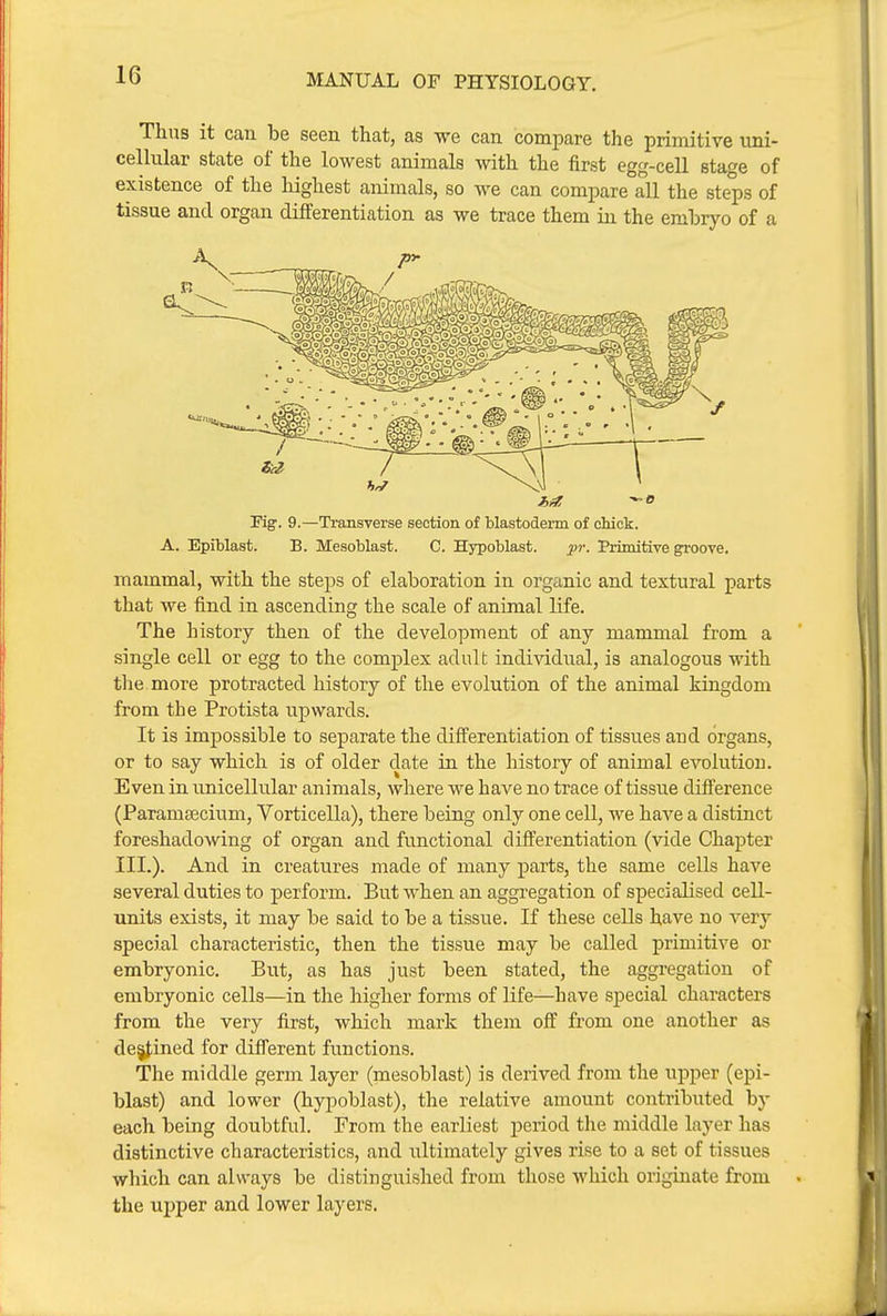 Thus it can be seen that, as we can compare the primitive uni- cellular state of the lowest animals with the first egg-cell stage of existence of the highest animals, so we can compare all the steps of tissue and organ differentiation as we trace them in the embryo of a Kg. 9.—Transverse section of blastoderm of chick. A, Epiblast. B. Mesoblast. C. Hypoblast. pr. Primitive groove, mammal, with the steps of elaboration in organic and textural parts that we find in ascending the scale of animal life. The history then of the development of any mammal from a single cell or egg to the complex adult individual, is analogous with the more protracted history of the evolution of the animal kingdom from the Protista upwards. It is impossible to separate the differentiation of tissues and organs, or to say which is of older date in the history of animal evolution. Even in unicellular animals, where we have no trace of tissue difference (Paramsecium, Vorticella), there being only one cell, we have a distinct foreshadowing of organ and functional differentiation (vide Chapter III.). And in creatures made of many parts, the same cells have several duties to perform. But when an aggregation of specialised cell- units exists, it may be said to be a tissue. If these cells have no very special characteristic, then the tissue may be called primitive or embryonic. But, as has just been stated, the aggregation of embryonic cells—in the higher forms of life—have special characters from the very first, which mark them off from one another as destined for different functions. The middle germ layer (mesoblast) is derived from the upper (epi- blast) and lower (hypoblast), the relative amount contributed by each being doubtful. From the earliest period the middle layer has distinctive characteristics, and ultimately gives rise to a set of tissues which can always be distinguished from those which originate from the upper and lower layers.