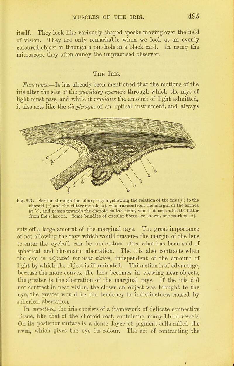 itself. They look like variously-shaped specks moving over the field of vision. They are only remarkable when we look at an evenly coloured object or throiigh a pin-hole in a black card. In using the microscope they often annoy the unpractised observer. The Iris. Functions.—It has already been mentioned that the motions of the iris alter the size of the pupillary aperture through which the rays of light must pass, and while it regulates the amount of light admitted, it also acts like the diaphragm of an optical instrument, and always Fig. 227.—Section through the ciliary region, showing the relation of the iris (/) to the choroid (^r) and the ciliary muscle (a), -which arises from the margin of the cornea at fe), and passes towards the choroid to the right, where it separates the latter from the sclerotic. Some bimdles of circular fibres are shown, one marked (d). cuts oflF a large amount of the marginal rays. The great importance of not allowing the rays which would traverse the margin of the lens to enter the eyeball can be understood after what has been said of spherical and chromatic aberration. The iris also contracts when the eye is adjusted for near vision, independent of the amount of light by which the object is illuminated. This action is of advantage, because the more convex the lens becomes in viewing near objects, the greater is the aberration of the marginal rays. If the iris did not contract in near vision, the closer an object was brought to the eye, the greater would be the tendency to indistinctness caused by spherical abeiration. In structure, the iris consists of a framework of delicate connective tissue, like that of the choroid coat, containing many blood-vessels. On its posterior surface is a dense layer of pigment cells called the uvea, which gives the eye its colour. The act of contracting the