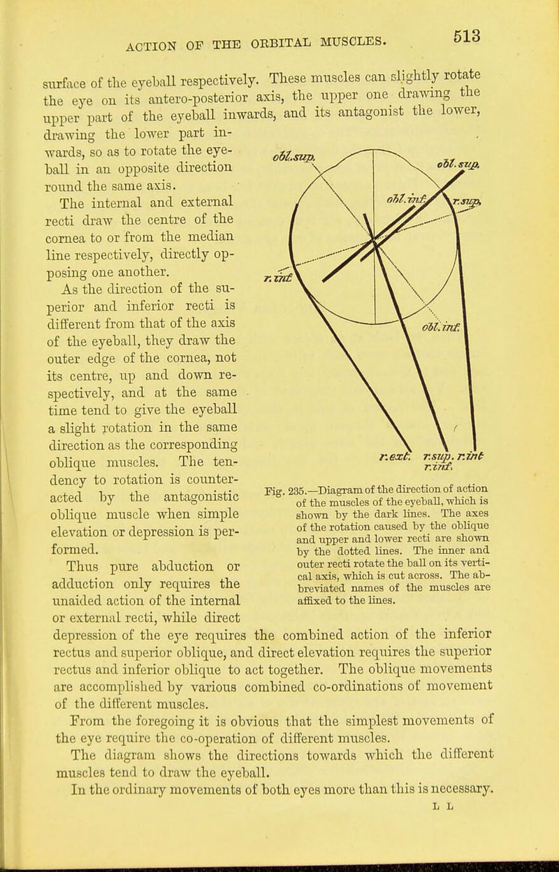 ACTION OP THE OEBITAL MUSCLES. siirface of tlie eyeball respectively. These muscles can slightly rotate the eye on its antero-posterior axis, the upper one drawing the upper part of the eyeball inwards, and its antagonist the lower, the lower part in- drawing wards, so as to rotate the eye- ball in an opposite direction round the same axis. The internal and external recti draw the centre of the cornea to or from the median line respectively, directly op- posing one another. As the direction of the su- perior and inferior recti is different from that of the axis of the eyeball, they draw the outer edge of the cornea, not its centre, up and down re- spectively, and at the same time tend to give the eyeball a slight rotation in the same direction as the corresponding obliq^ue muscles. Tlie ten- dency to rotation is counter- acted by the antagonistic oblique muscle when simple elevation or depression is per- formed. Thus pure abduction or adduction only requires the unaided action of the internal o6i.suj>. next. r.sup. r.i/if r.zTtf, Fig. 235.—Diagram of the direction of action of the muscles of the eyeball, which is shown by the dark lines. The axes of the rotation caused by the oblique and upper and lower recti are shown by the dotted lines. The inner and outer recti rotate the ball on its verti- cal axis, which is cut across. The ab- breviated names of the muscles are affixed to the lines. or external recti, while direct depression of the eye requires the combined action of the inferior rectus and superior oblique, and direct elevation requires the superior rectus and inferior oblique to act together. The oblique movements are accomplished by various combined co-ordinations of movement of the different muscles. From the foregoing it is obvious that the simplest movements of the eye require the co-operation of different muscles. The diagram shows the directions towards which the different muscles tend to draw the eyeball. In the ordinary movements of both eyes more than this is necessary. 1 L