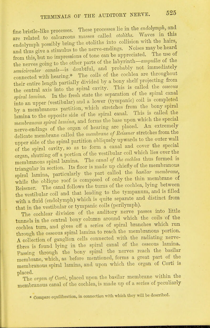 fine bristle-like processes. These processes lie in the endolymph, and are related to calcareous masses called otoliths. Waves m this endolymph possibly bring the otoliths into collision with the hairs and thus give a stimulus to the nerve-enclmgs. Noises may be heard from this, but no impressions of tone can be appreciated. The use of the nerves coing to the other parts of the labyrmth-am^^ttZZce of the s^icMar canals-As doubtful, and probably not immediately connected with hearing.* The coils of the cochlea are throughout their entire length partiaUy divided by a bony shelf projectmg from the central axis into the spiral cavity. This is called the osseous M lamina. In the fresh state the separation of the_ spiral canal into an upper (vestibular) and a lower (tympanic) coil is completed by a membranous partition, which stretches from the bony spiral lamina to the opposite side of the spiral canal. This_ is caHed the mernhranous spiral lamma, and forms the base upon which the special nerve-endings of the organ of hearing are placed. An extremely delicate membrane called the membrane of Reissner stretches from the npner side of the spiral partition obliquely upwards to the outer wall of the spiral cavity, so as to form a canal and cover the special orcan, shutting off a portion of the vestibular coil which lies over the membranous spiral lamina. The canal of the cochlea thus formed is trianaular in section. Its floor is made up chiefly of the membranous spiral lamina, particularly the part caUed the hasilar membrane while the oblique roof is composed of only the thm membrane of Keissner The canal foHows the turns of the cochlea, lying between the vestibular coil and that leading to the tympanum, and is filled vnth a fluid (endolymph) which is quite separate and distinct from that in the vestibular or tympanic coils (perilymph). The cochlear divisiou of the auditory nerve passes into little tunnels in the central bony column around which the coils of the cochlea turn, and gives off a series of spiral branches which run through tbe osseous spiral lamina to reach the membranous portion. A col?ection of ganglion cells connected with the radiating nerve- fibres is found lying in the spiral canal of the osseous lamina. Passing through the bony spiral the nerves reach the basilar membrane, which, as before mentioned, forms a great part of the membranous, spiral lamina, and upon which the organ of Corti is The organ of Corti, placed upon the basilar membrane within the membranous canal of the cochlea, is made up of a series of peculiarly • Compare equUibration, in connection -with wliioli they wiU be desciibed.