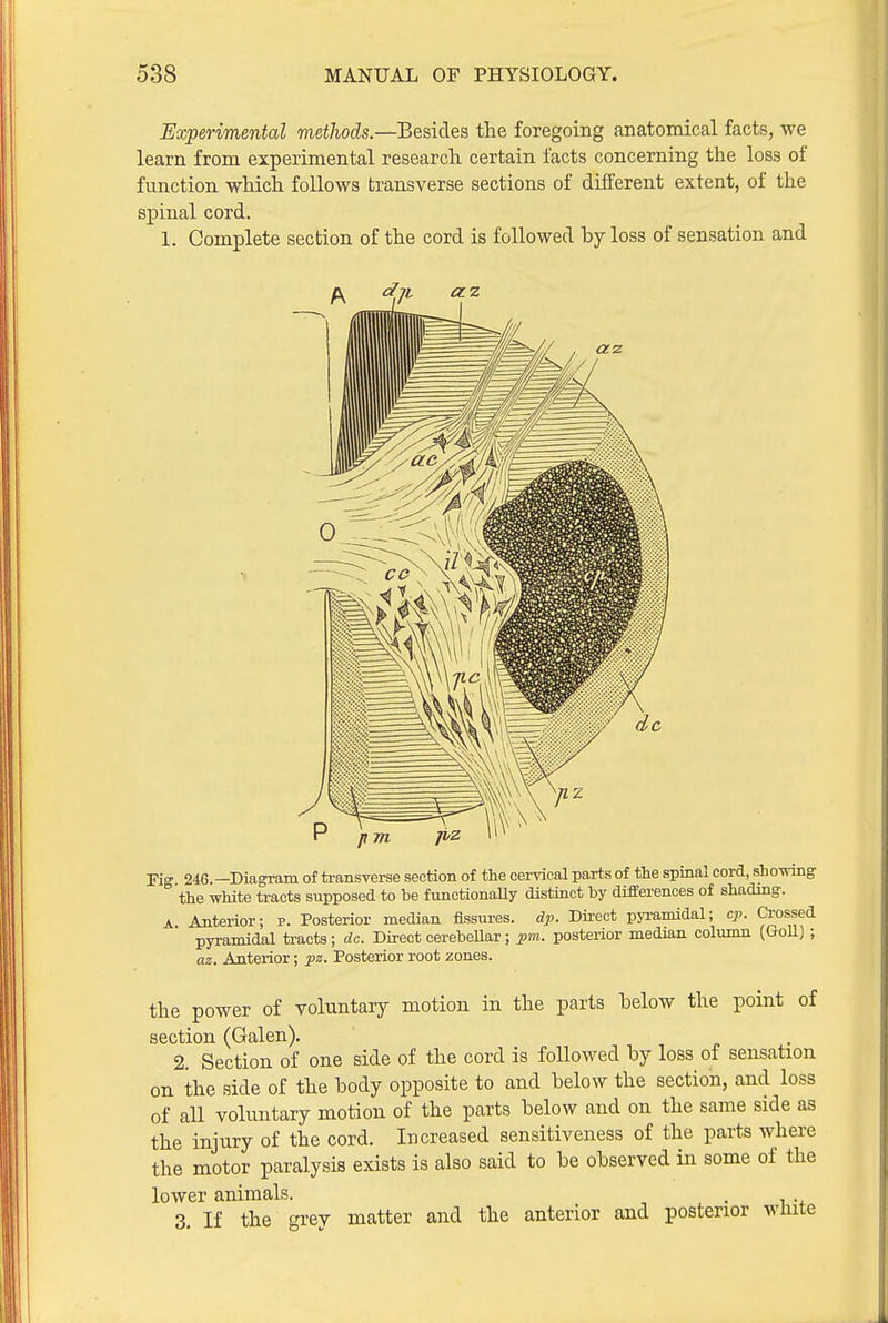 Experimental metliods.—Besides the foregoing anatomical facts, we learn from experimental research certain facts concerning the loss of function which follows transverse sections of different extent, of the spinal cord. 1. Complete section of the cord is followed by loss of sensation and p m Fiff 246.—Diagram of transverse section of the cervical parts of the spinal cord, showing the white tracts supposed to be functionally distinct by differences of shading. A Anterior; p. Posterior median fissures, dp. Direct pyi-amidal; cp. Crossed pyramidal tracts; dc. Direct cerebellar; pm. posterior median column (GoU) ; az. Anterior; pz. Posterior root zones. the power of voluntary motion in the parts helow the point of section (Galen). 2. Section of one side of the cord is followed by loss of sensation on the side of the body opposite to and below the section, and loss of all voluntary motion of the parts below and on the same side as the injury of the cord. Increased sensitiveness of the parts where the motor paralysis exists is also said to be observed in some of the lower animals. . 3. If the grey matter and the anterior and posterior wliite