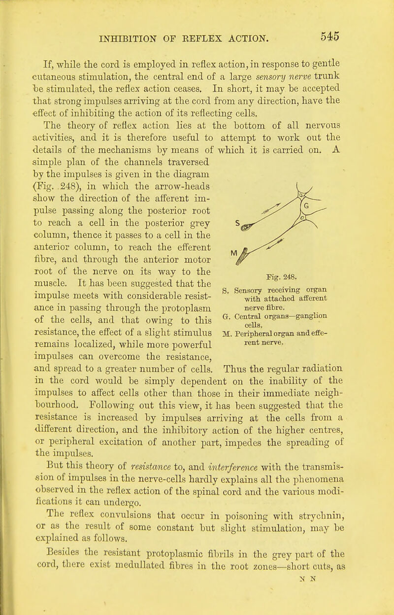 INHIBITION OF REFLEX ACTION. If, while the cord is employed in reflex action, in response to gentle cutaneous stimulation, the central end of a large sensory nerve trunk he stimulated, the reflex action ceases. In short, it may be accepted that strong impulses arriving at the cord from any direction, have the eSect of inhibiting the action of its reflecting cells. The theory of reflex action lies at the bottom of all nervous activities, and it is therefore useful to attempt to work out the details of the mechanisms by means of which it is carried on. A simple plan of the channels traversed by the impulses is given in the diagram (Fig. 248), in which the arrow-heads show the direction of the afferent im- pulse passing along the posterior root to reach a cell in the posterior grey column, thence it passes to a cell in the anterior column, to reach the efferent fibre, and through the anterior motor root of the nerve on its way to the muscle. It has been suggested that the impulse meets with considerable resist- ance in passing through the protoplasm of the cells, and that owing to this resistance, the effect of a slight stimulus remains localized, while more powerful impulses can overcome the resistance, and spread to a greater number of cells, in the cord would be simply dependent on the inability of the impulses to affect cells other than those in their immediate neigh- bourhood. Following out this view, it has been suggested that the resistance is increased by impulses arriving at the cells from a different direction, and the inhibitory action of the higher centres, or peripheral excitation of another part, impedes the spreading of the impulses. But this theory of resistance to, and interference with the transmis- sion of impulses in the nerve-cells hardly explains all the phenomena observed in the reflex action of the spinal cord and the various modi- fications it can undergo. The reflex convulsions that occur in poisoning with strychnin, or as the result of some constant but slight stimulation, may be explained as follows. Besides the resistant protoplasmic fibrils in the grey part of the cord, there exist medullated fibres in the root zones—short cuts, as N N Fig. 248. S. Sensory receiving organ ■with attached aiferent nerve fibre. G. Central organs—ganglion cells. M. Peripheral organ and effe- rent nerve. Thus the regular radiation