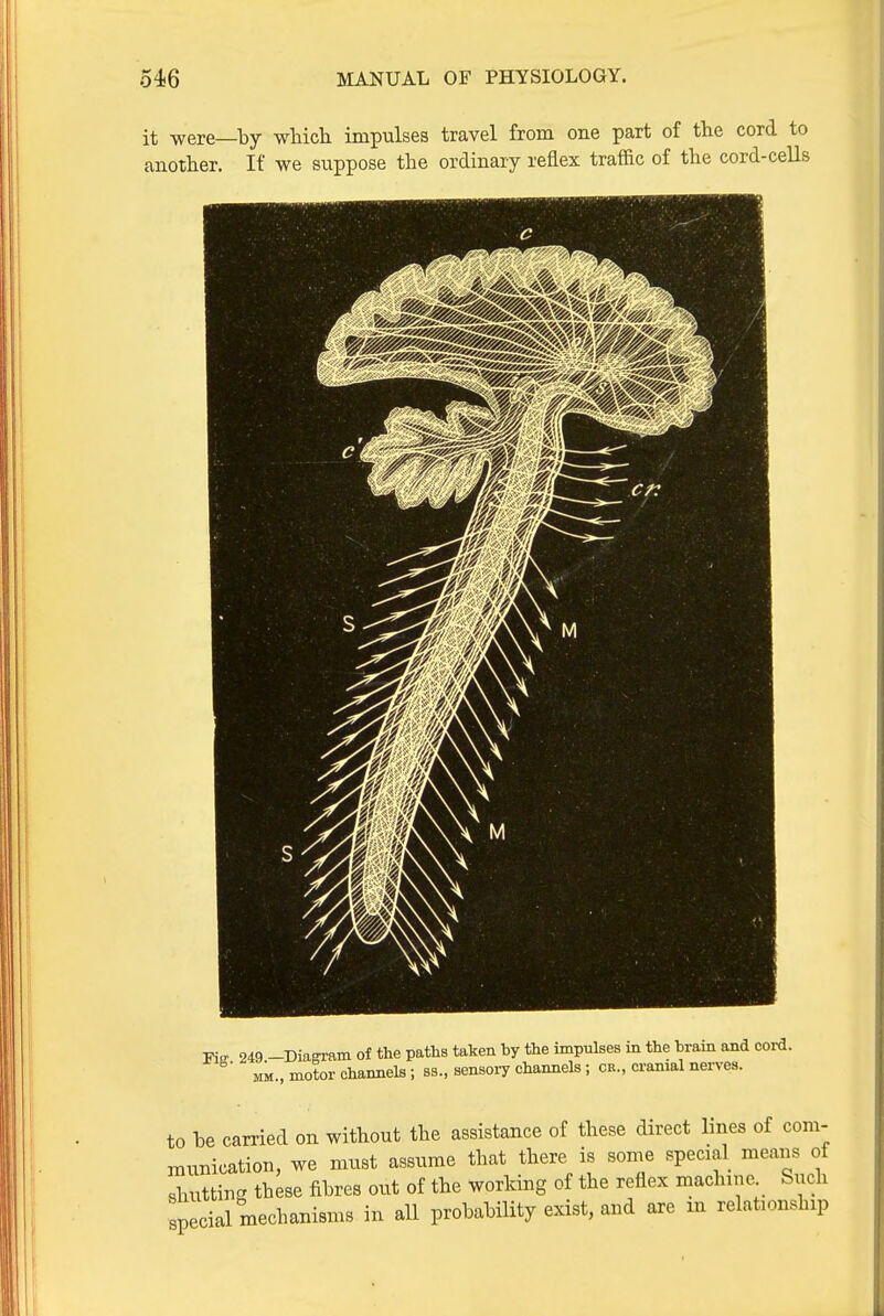 it were—by wliicli impulses travel from one part of the cord to another. If we suppose the ordinary reflex traffic of the cord-ceUs TiB 249 -Diagram of the paths taken by the impulses in the brain and cord. MM., motor channels; ss, sensory channels ; cr., cramal nerves. to he carried on without the assistance of these direct lines of com- munication, we must assume that there is some special means of shutting these fibres out of the working of the reflex machine Such special mechanisms in all probability exist, and are m relationship