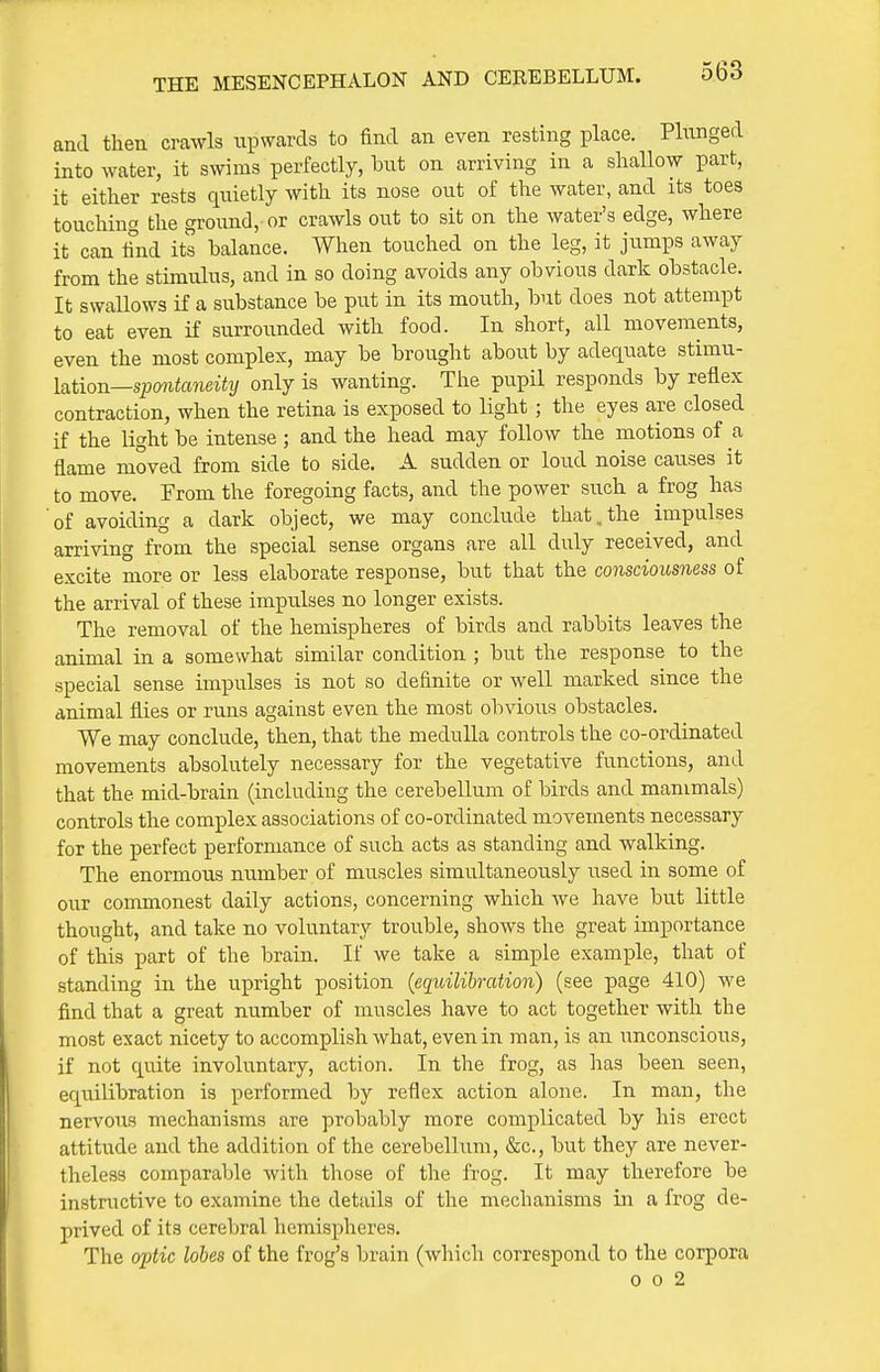 and then crawls upwards to find an even resting place. Plunged into water, it swims perfectly, but on arriving in a shallow part, it either rests quietly with its nose out of the water, and its toes touching the ground, or crawls out to sit on the water's edge, where it can find its balance. When touched on the leg, it jumps away from the stimulus, and in so doing avoids any obvious dark obstacle. It swallows if a substance be put in its mouth, but does not attempt to eat even if surrounded with food. In short, all movements, even the most complex, may be brought about by adequate stimu- lation—s;?(mto7iei<2/ only is wanting. The pupil responds by reflex contraction, when the retina is exposed to light ; the eyes are closed if the light be intense ; and the head may follow the motions of a flame moved from side to side. A sudden or loud noise causes it to move. From the foregoing facts, and the power such a frog has of avoiding a dark object, we may conclude that,the impulses arriving from the special sense organs are all duly received, and excite more or less elaborate response, but that the consciousness of the arrival of these impulses no longer exists. The removal of the hemispheres of birds and rabbits leaves the animal in a somewhat similar condition ; but the response to the special sense impulses is not so definite or well marked since the animal flies or runs against even the most obvious obstacles. We may conclude, then, that the medulla controls the co-ordinated movements absolutely necessary for the vegetative functions, and that the mid-brain (including the cerebellum of birds and mammals) controls the complex associations of co-ordinated movements necessary for the perfect performance of such acts as standing and walking. The enormous number of muscles simultaneously used in some of our commonest daily actions, concerning which Ave have but little thought, and take no voluntary trouble, shows the great importance of this part of the brain. If we take a simple example, that of standing in the upright position {equilibration) (see page 410) we find that a great number of muscles have to act together with the most exact nicety to accomplish what, even in man, is an unconscious, if not quite involuntary, action. In the frog, as has been seen, equilibration is performed by reflex action alone. In man, the nervous mechanisms are probably more complicated by his erect attitude and the addition of the cerebellum, &c., but they are never- theless comparable with those of the frog. It may therefore be instructive to examine the details of the mechanisms in a frog de- prived of its cerebral hemispheres. The optic lobes of the frog's brain (which correspond to the corpora