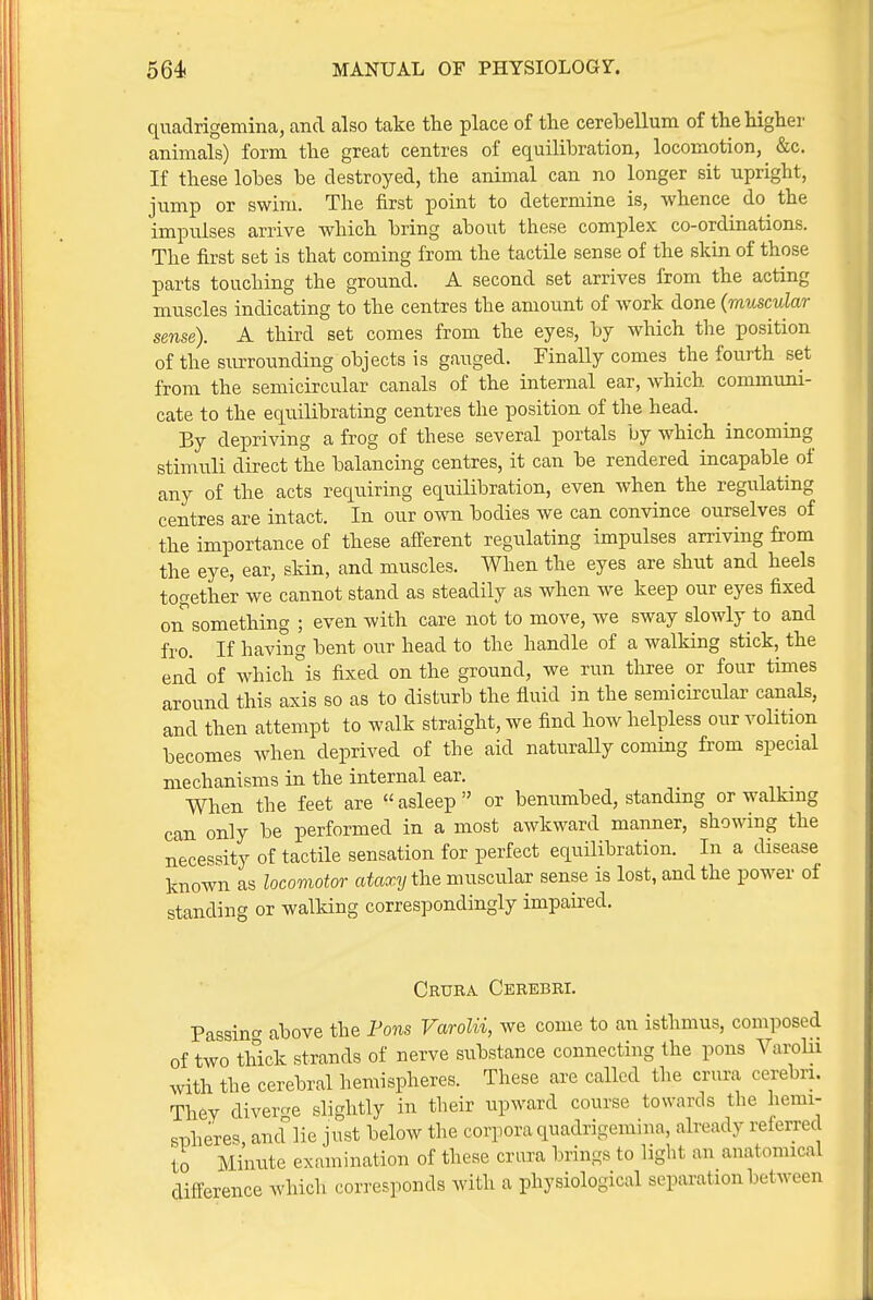 quadrigemina, and also take the place of the cerebellum of the higher animals) form the great centres of equililsration, locomotion, &c. If these lobes be destroyed, the animal can no longer sit upright, jump or swim. The first point to determine is, whence do the impulses arrive which bring about these complex co-ordinations. The first set is that coming from the tactile sense of the skin of those parts touching the ground. A second set arrives from the acting muscles indicating to the centres the amount of work done (ramcular sense). A thii'd set comes from the eyes, by which the position of the surrounding objects is gauged. Finally comes the fourth set from the semicircular canals of the internal ear, which communi- cate to the equilibrating centres the position of the head. By depriving a frog of these several portals by which incoming stimuli direct the balancing centres, it can be rendered incapable of any of the acts requiring equilibration, even when the regulating centres are intact. In our own bodies we can convince ourselves of the importance of these aff'erent regulating impulses arriving from the eye, ear, skin, and muscles. When the eyes are shut and heels together we cannot stand as steadily as when we keep our eyes fixed on something ; even with care not to move, we sway slowly to and fro. If having bent our head to the handle of a walking stick, the end of which°is fixed on the ground, we run three or four times around this axis so as to disturb the fluid in the semicircular canals, and then attempt to walk straight, we find how helpless our volition becomes when deprived of the aid naturally coming from special mechanisms in the internal ear. _ When the feet are  asleep  or benumbed, standmg or walking can only be performed in a most awkward manner, showing the necessity of tactile sensation for perfect equilibration. In a disease known as locomotor ataxy the muscular sense is lost, and the power of standing or walking correspondingly impaired. Crura Cerebri. Passing above the Fons Varolii, we come to an isthmus, composed of two thick strands of nerve substance connecting the pons Varolii with the cerebral hemispheres. These are called the crura cerebn. Th6Y diverge slightly in their upward course towards the hemi- sphere'^ and'lie just below the corpora quadrigemina, already referred to Minute examination of these crura brings to light an anatomical difference which corresponds with a physiological separation between