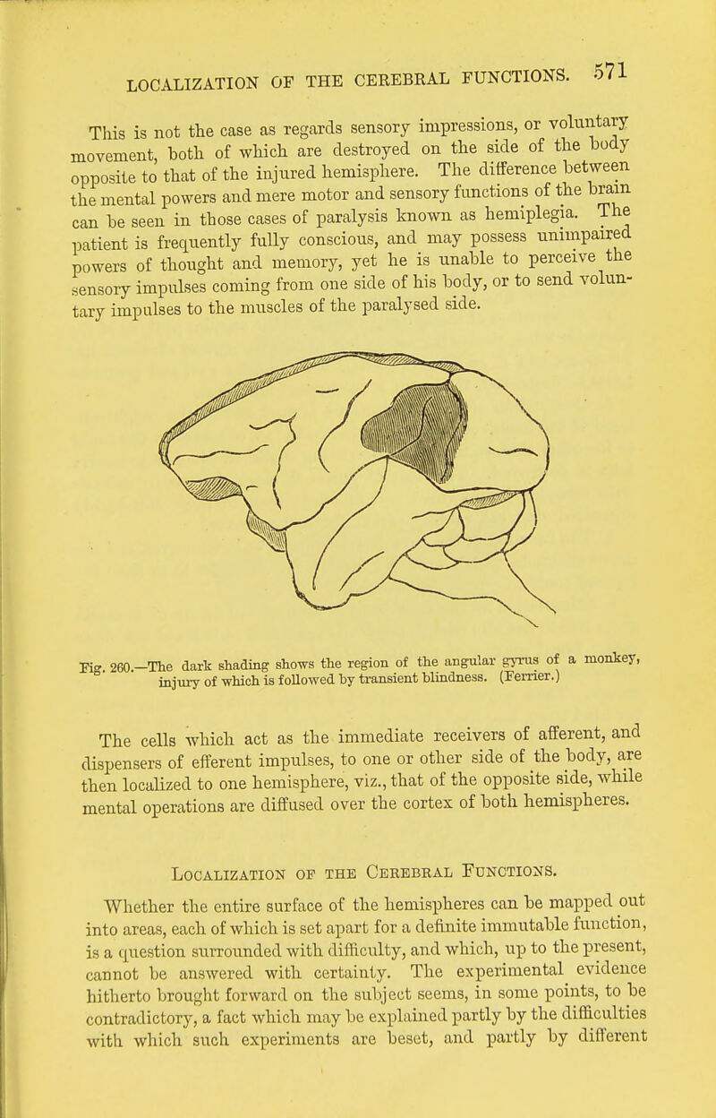 This is not the case as regards sensory impressions, or volniitary movement, both of which are destroyed on the side of the hody opposite to that of the injured hemisphere. The difference between the mental powers and mere motor and sensory functions of the brain can be seen in those cases of paralysis known as hemiplegia. The patient is frequently fully conscious, and may possess unimpaired powers of thought and memory, yet he is unable to perceive the sensory impulses coming from one side of his body, or to send volun- tary impulses to the muscles of the paralysed side. Kg 260.-The dark shading shows the region of the angular gyrus of a moakey, injury of which is foUowed by transient blindness. (Femer.) The cells which act as the immediate receivers of afferent, and dispensers of efferent impulses, to one or other side of the body, are then localized to one hemisphere, viz., that of the opposite side, while mental operations are diffused over the cortex of both hemispheres. Localization of the Cerebral Functions. Whether the entire surface of the hemispheres can be mapped out into areas, each of which is set apart for a definite immutable function, is a question surrounded with difficulty, and which, up to the present, cannot be answered with certainty. The experimental evidence hitherto brought forward on the subject seems, in some points, to be contradictory, a fact which may be explained partly by the difficulties with which such experiments are beset, and partly by different