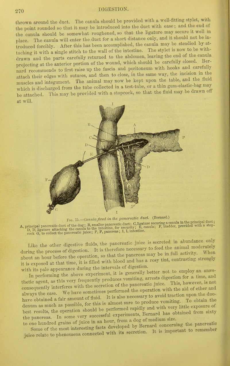 J)IGEST10N. thrown around the <luct. The canula should be provided with a well-iitting stylet, with the point rounded so tluit it raav be introduced into tiie duct with ease; and the end of the canula should bo somewhat roughened, so that the ligature may secure it well in place. The canula will enter the duct for a short distance only, and it should not be in- troduced forcibly. After this has been accomplished, the canula may be steadied by at- taching it with a single stitch to the wall of the intestine. The stylet is now to be with- drawn and the parts carefully returned to the abdomen, leaving the end of the canula projecting at the anterior portion of the wound, which should be cai-efuUy closed. Ber- nard recommends to first raise up the fascia and peritoneum with hooks and carefully attach their edges with sutures, and then to close, in the same way, the mcision m the muscles and integument. The animal may now be kept upon the table, and the flmd which is discharged from the tube collected in a test-tube, or a thin gura-elastic-bag may be attached. This may be provided with a stopcock, so that the lluid may be drawn off at will. Fig. -ih.-Canulafix^d, in the. pancreatic duct. (Bernard.) with its pale appearance during the intervals of diges ion juice relate to phenomena connected with its secieiion. i