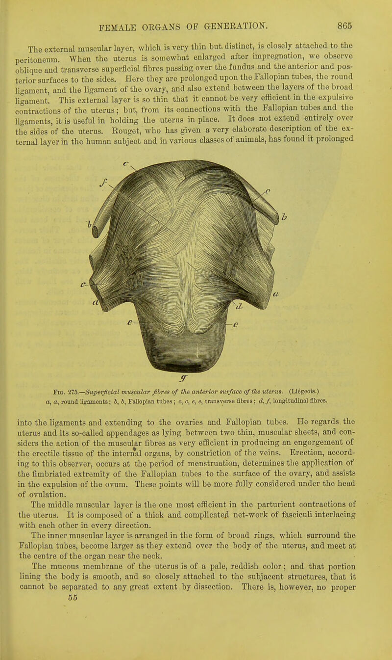 The external muscular layer, whlcli is very thin but distinct, is closely attached to the peritoneum. When the uterus is somewhat enlarged after impregnation, we observe oblique and ti-ansverse superficial fibres passing over the fundus and the anterior and pos- terior surfaces to the sides. Here they are prolonged upon the Fallopian tubes, the round ligament, and the ligament of the ovary, and also extend between the layers of the broad ligament. This external layer is so thin that it cannot be very efficient in the expulsive contractions of the uterus; but, from its connections with the Fallopian tubes and the ligaments, it is useful in holding the uterus in place. It does not extend entirely over the sides of the uterus. Rouget, who has given a very elaborate description of the ex- ternal layer in the human subject and in various classes of animals, has found it prolonged .r Fio. 275.—Superficial muscular fibres of the anterior surface of the uterus. (Li^geois.) a, a, round ligaments; S, 6, Fallopian tubes; c, c, c, e, transverse fibres; d, /, longitudinal fibres. into the ligaments and extending to the ovaries and Fallopian tubes. He regards the uterus and its so-called appendages as lying between two thin, muscular sheets, and con- siders the action of the muscular fibres as very eflacient in producing an engorgement of the erectile tissue of the internal organs, by constriction of the veins. Erection, accord- ing to this observer, occurs at the period of menstruation, determines the application of the fimbriated extremity of the Fallopian tubes to the surface of the ovary, and assists in the expulsion of the ovum. These points wiU be more fully considered under the head of ovulation. The middle muscular layer is the one most efficient in the parturient contractions of the uterus. It is composed of a thick and complicateji net-work of fasciculi interlacing with each other in every direction. The inner muscular layer is arranged in the form of broad rings, which surround the Fallopian tubes, become larger as they extend over the body of the uterus, and meet at the centre of the organ near the neck. The mucous membrane of the uterus is of a pale, reddish color; and that portion lining the body is smooth, and so closely attached to the subjacent structures, that it cannot be separated to any great extent by dissection. There is, however, no proper 65