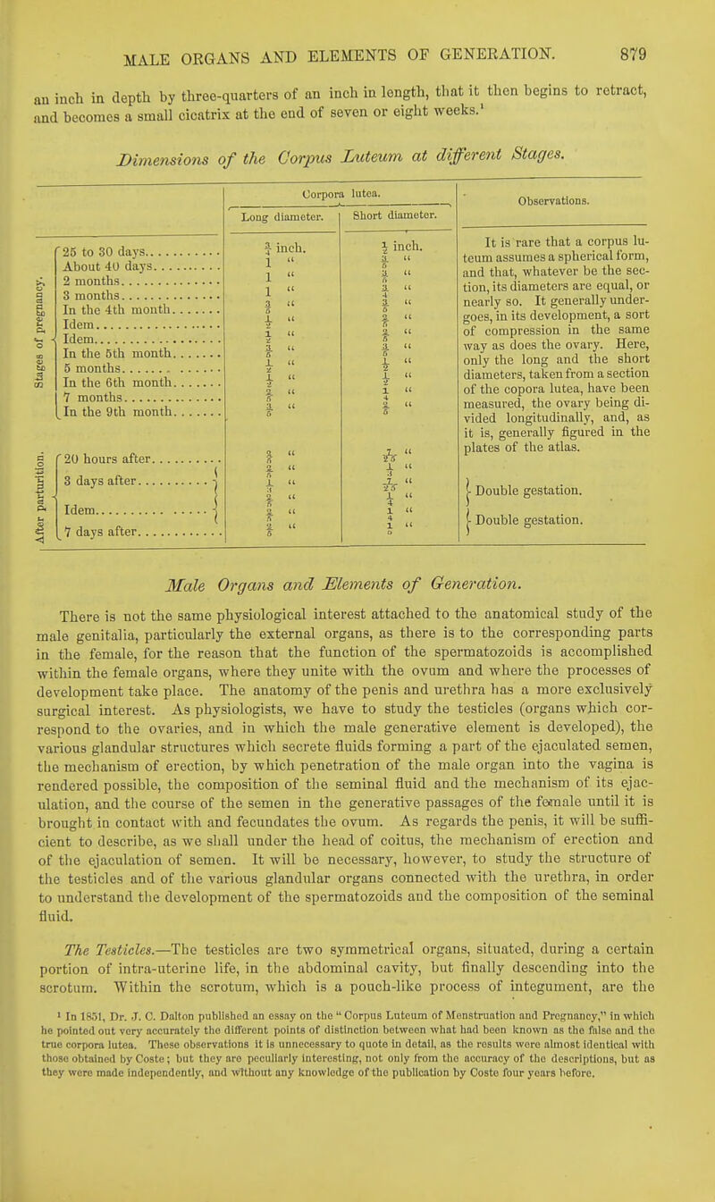 an inch in depth by three-quarters of an inch in length, that it then begins to retract, and becomes a small cicatrix at the end of seven or eight weeks.' Dimensiom of the Corpus Zuteum at different Stages. ' 25 to 30 days About 40 days. . . , 2 months 3 months In the ith month. Idem Idem la the 5th month. 5 months In the 6th month. 7 months In the 9th month. '20 hours after. 3 days after. .. Idem 7 days after. .. Corpora lutea. Long diameter. Short diameter. inch. \ inch. J. :l i-s Observations. It is rare that a corpus lu- teum assumes a spherical form, and that, whatever be the sec- tion, its diameters are equal, or nearly so. It generally under- goes, in its development, a sort of compression in the same way as does the ovary. Here, only the long and the short diameters, taken from a section of the copora lutea, have been measured, the ovary being di- vided longitudinally, and, as it is, generally figured in the plates of the atlas. j- Double gestation. V Double gestation. Male Organs and Elements of Generation. There is not the same physiological interest attached to the anatomical study of the male genitalia, particularly the external organs, as there is to the corresponding parts in the female, for the reason that the function of the spermatozoids is accomplished within the female organs, where they unite with the ovum and where the processes of development take place. The anatomy of the penis and urethra has a more exclusively surgical interest. As physiologists, we have to study the testicles (organs which cor- respond to the ovaries, and in which the male generative element is developed), the various glandular structures which secrete fluids forming a part of the ejaculated semen, the mechanism of erection, by which penetration of the male organ into the vagina is rendered possible, the composition of the seminal fluid and the mechanism of its ejac- ulation, and the course of the semen in the generative passages of the faraale until it is brought in contact with and fecundates the ovum. As regards the penis, it will be suffi- cient to describe, as we shall under the head of coitus, the mechanism of erection and of the ejaculation of semen. It will be necessary, however, to study the structure of the testicles and of the various glandular organs connected witli the urethra, in order to understand the development of the spermatozoids and the composition of the seminal fluid. The Testicles.—The testicles are two symmetrical organs, situated, during a certain portion of intra-utcrine life, in the abdominal cavity, but finally descending into the scrotum. Within the scrotum, which is a pouch-like proce.ss of integument, are the ' In 1831, Dr. .T. C. Dalfon published an essay on the  Corpus Luteum of Menstruation and Preg:nancy, in which he pointed out very accurately the different points of distinction between what had been Icnown as the false and tlio true corpora lutea. These observations it Is unnecessary to quote in detail, as the results wore almost identical with those obtained by Coste; but they are peculiarly interesting, not only from the accuracy of the descriptions, but as they wore made independently, and without any knowledge of the publication by Oosto four years before.