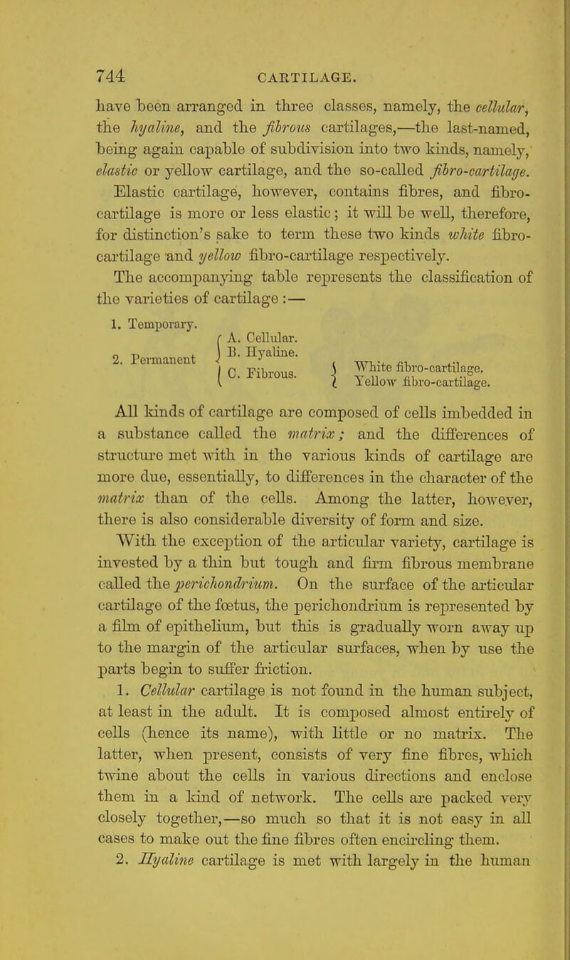 liave been arranged in three classes, namely, the cellular, the hyaline, and the fibrous cartilages,—the last-named, being again capable of subdivision into two kinds, namely, elastic or yellow cartilage, and the so-called fibro-cartilage. Elastic cartilage, however, contains fibres, and fibro- cartilage is more or less elastic; it will be well, therefore, for distinction's sake to term these two kinds white fibro- cartilage and yellow fibro-cartilage respectively. The accompanjdng table represents the classification of the varieties of cartilage :— 1. Temporary. [ A. Cellular. 2. Pei-manent J ^' ^1°^^- wi-v. 10. Fibrous. \ ytite fibro-cartdage. ^ I lello-\v nbro-cartilage. All kinds of cartilage are composed of cells imbedded in a substance called the matrix; and the differences of structiu-e met with in the various kinds of cartilage are more due, essentially, to differences in the character of the matrix than of the cells. Among the latter, however, there is also considerable diversity of form and size. With the exception of the articular variety, cartilage is invested by a thin but tough and firm fibrous membrane called the perichondrium. On the surface of the ai-ticular cartilage of the foetus, the perichondrium is represented by a film of epithelium, but this is gradually worn away up to the margin of the articular surfaces, when by use the parts begin to suffer friction. 1. Cellular cartilage is not found in the human subject, at least in the adult. It is composed almost entii'ely of cells (hence its name), with little or no matrix. The latter, when present, consists of very fine fibres, which twine about the cells in various directions and enclose them in a kind of network. The cells are packed very closely together,—so much so that it is not easy in all cases to make out the fine fibres often encircling them. 2. Hyaline cartilage is met with largely in the human