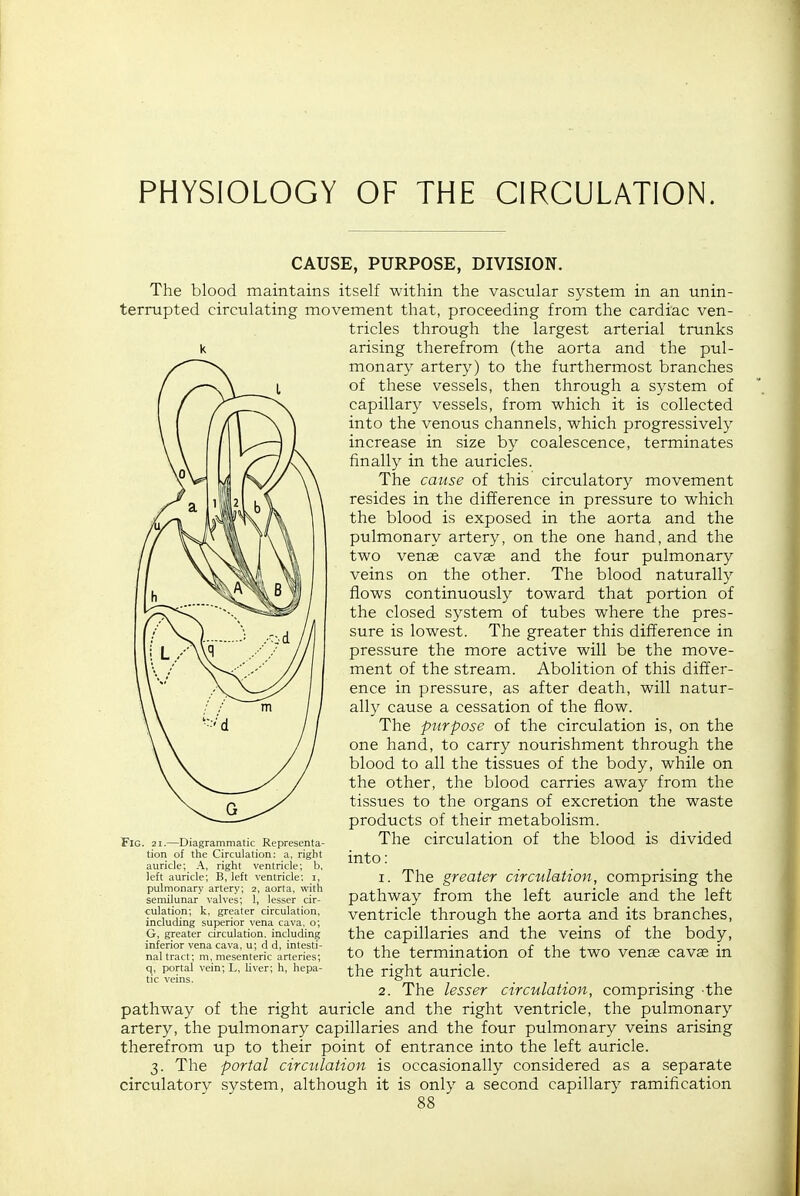 PHYSIOLOGY OF THE CIRCULATION. CAUSE, PURPOSE, DIVISION. The blood maintains itself within the vascular system in an unin- terrupted circulating movement that, proceeding from the cardiac ven- tricles through the largest arterial trunks k arising therefrom (the aorta and the pul- monary artery) to the furthermost branches of these vessels, then through a system of capillary vessels, from which it is collected into the venous channels, which progressively increase in size by coalescence, terminates finally in the auricles. The cause of this circulatory movement resides in the difference in pressure to which the blood is exposed in the aorta and the pulmonary artery, on the one hand, and the two venae cavag and the four pulmonary veins on the other. The blood naturally flows continuously toward that portion of the closed system of tubes where the pres- sure is lowest. The greater this difference in pressure the more active will be the move- ment of the stream. Abolition of this differ- ence in pressure, as after death, will natur- ally cause a cessation of the flow. The purpose of the circulation is, on the one hand, to carry nourishment through the blood to all the tissues of the body, while on the other, the blood carries away from the tissues to the organs of excretion the waste products of their metabolism. The circulation of the blood is divided into: 1. The greater circtdaiion, comprising the pathway from the left auricle and the left ventricle through the aorta and its branches, the capillaries and the veins of the body, to the termination of the two venae cavse in the right auricle. 2. The lesser circulation, comprising -the pathway of the right auricle and the right ventricle, the pulmonary artery, the pulmonary capillaries and the four pulmonary veins arising therefrom up to their point of entrance into the left auricle. 3. The portal circulation is occasionally considered as a separate circulatory system, although it is only a second capillary ramification Fig. 21.—Diagrammatic Representa- tion of the Circulation: a, right auricle; A, right ventricle; b, left auricle; B, left ventricle; i, pulmonary artery; 2, aorta, with semilunar valves; 1, lesser cir- culation; k, greater circulation, including superior vena cava, o; G, greater circulation, including inferior vena cava, u; d d, intesti- nal tract; m, mesenteric arteries; q, portal vein; L, liver; h, hepa- tic veins.