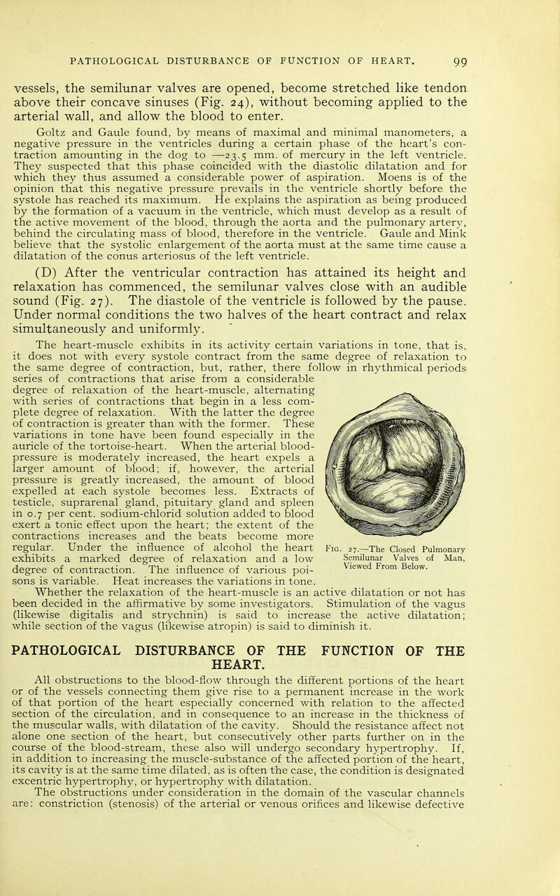 vessels, the semilunar valves are opened, become stretched like tendon above their concave sinuses (Fig. 24), without becoming applied to the arterial wall, and allow the blood to enter. Goltz and Gaule found, by means of maximal and minimal manometers, a negative pressure in the ventricles during a certain phase of the heart's con- traction amounting in the dog to —23.5 mm. of mercury in the left ventricle. They suspected that this phase coincided with the diastolic dilatation and for which they thus assumed a considerable power of aspiration. Moens is of the opinion that this negative pressure prevails in the ventricle shortly before the systole has reached its maximum. He explains the aspiration as being produced by the formation of a vacuum in the ventricle, which must develop as a result of the active movement of the blood, through the aorta and the pulmonary artery, behind the circulating mass of blood, therefore in the ventricle. Gatile and Mink believe that the systolic enlargement of the aorta must at the same time cause a dilatation of the conus arteriosus of the left ventricle. (D) After the ventricular contraction has attained its height and relaxation has commenced, the semilunar valves close with an audible sound (Fig. 27). The diastole of the ventricle is followed by the pause. Under normal conditions the two halves of the heart contract and relax simultaneously and uniformly. The heart-muscle exhibits in its activity certain variations in tone, that is, it does not with every systole contract from the same degree of relaxation to the same degree of contraction, but, rather, there follow in rhythmical periods series of contractions that arise from a considerable degree of relaxation of the heart-muscle, alternating with series of contractions that begin in a less com- plete degree of relaxation. With the latter the degree of contraction is greater than with the former. These variations in tone have been found especially in the auricle of the tortoise-heart. When the arterial blood- pressure is moderately increased, the heart expels a larger amount of blood; if, however, the arterial pressure is greatly increased, the amount of blood expelled at each systole becomes less. Extracts of testicle, suprarenal gland, pituitary gland and spleen in 0.7 per cent, sodium-chlorid solution added to blood exert a tonic effect upon the heart; the extent of the contractions increases and the beats become more regular. Under the influence of alcohol the heart exhibits a marked degree of relaxation and a low degree of contraction. The influence of various poi- sons is variable. Heat increases the variations in tone. Whether the relaxation of the heart-muscle is an active dilatation or not has been decided in the affirmative by some investigators. Stimulation of the vagus (likewise digitalis and strychnin) is said to increase the active dilatation; while section of the vagus (likewise atropin) is said to diminish it. PATHOLOGICAL DISTURBANCE OF THE FUNCTION OF THE HEART. All obstructions to the blood-flow through the different portions of the heart or of the vessels connecting them give rise to a permanent increase in the work of that portion of the heart especially concerned with relation to the affected section of the circulation, and in consequence to an increase in the thickness of the muscular walls, with dilatation of the cavity. Should the resistance affect not alone one section of the heart, but consecutively other parts further on in the course of the blood-stream, these also will undergo secondary hypertrophy. If, in addition to increasing the muscle-substance of the affected portion of the heart, its cavity is at the same time dilated, as is often the case, the condition is designated excentric hypertrophy, or hypertrophy with dilatation. The obstructions under consideration in the domain of the vascular channels are: constriction (stenosis) of the arterial or venous orifices and likewise defective Fig. 27.—The Closed Pulmonary Semilunar Valves of Man, Viewed From Below.
