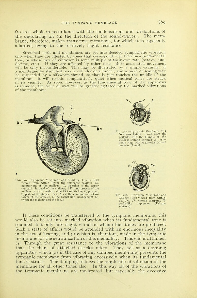 fro as a whole in accordance with the condensations and rarefactions of the undulating air (in the direction of the sound-waves). The mem- brane, therefore, makes transverse vibrations, for which it is especially adapted, owing to the relatively slight resistance. Stretched cords and membranes are set into decided sympathetic vibration only when they are affected by tones that correspond with their own fundamental tone, or whose rate of vibration is some multiple of their own rate (octave, duo- decime, etc.). If they are affected by other tones, their associated movement will be only inconsiderable. This may be illustrated by a simple example: if a membrane be stretched over a cylinder or a funnel, and a piece of sealing-wax be suspended by a silkworm-thread, so that it just touches the middle of the membrane, it will remain comparatively quiet when musical tones are struck in its vicinity. As soon, however, as the fundamental tone of the apparatus is sounded, the piece of wax will be greatly agitated by the marked vibrations of the membrane. Fig. 316.—Tympanic Membrane and Auditory Ossicles (left) viewed from within (from the tympanic cavity); M, manubrium of the malleus; T, insertion of the tensor tympani; h, head of the malleus; 1 F, \ont; process of the malleus; a, incus, with its short (K) and its long (1) process; S, plate of the stapes. A x, A x is the common axis of ro- tation of the ossicles, S the rachet-hke arrangement be- tween the malleus and the incus. Fig. 317.—Tympanic Membrane of a Newborn Infant, viewed from the Outside, with the Handle of the Malleus shining through;/!/, tym- panic ring, with its anterior (z') and posterior (fe) end. Fig. 318.—Tympanic Membrane and Ossicles (left) viewed from %vithin: Ci, Cm, Ch, chorda tympani; T, pocketlike depression (Urbant- schitsch). If these conditions be transferred to the tympanic membrane, this would also be set into marked vibration when its fundamental tone is sounded, but only into slight vibration when other tones are produced. Such a state of affairs would be attended with an enormous inequality in the act of hearing, and provision is, therefore, made in the tympanic membrane for the neutralization of this inequality. This end is attained: (i) Through the great resistance to the vibrations of the membrane that the chain of attached ossicles offers. They act as a damping apparatus, which (as in the case of any damped membrane) prevents the tympanic membrane from vibrating excessively when its fundamental tone is struck. The damping reduces the amplitude of vibration of the membrane for all other tones also. In this way all of the vibrations of the tympanic membrane are moderated, but especially the excessive