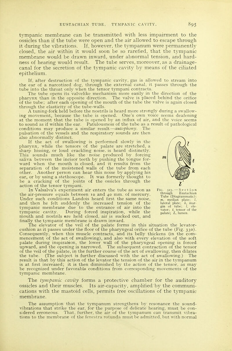 EUSTACHIAN TUBE. TYMPANIC CAVITY. tympanic membrane can be transmitted with less impairment to the ossicles than if the tube were open and the air allowed to escape through it during the vibrations. If, however, the tympanum were permanently closed, the air within it would soon be so rarefied, that the tympanic membrane would be drawn inward, under abnormal tension, and hard- ness of hearing would result. The tube serves, moreover, as a drainage- canal for the secretion of the tympanic cavity by means of the ciliated epithelium. If, after destruction of the tympanic cavity, gas is allowed to stream into the ear of a narcotized dog, through the external canal, it passes through the tube into the throat only when the tensor tympani contracts. The tube opens its valvelike mechanism more easily in the direction of the pharynx than in the opposite direction. The valve is placed behind the orifice of the tube; after each opening of the mouth of the tube the valve is again closed through the elasticity of the tube-walls. A tuning-fork held before the nostrils is heard more strongly during a swallow- ing movement, because the tube is opened. One's own voice seems deafening at the moment that the tube is opened by an influx of air, and the voice seems to sound as if within the ear. Patulousness of the tube as a result of pathological conditions may produce a similar result—autophony. The pulsation of the vessels and the respiratory sounds are then also abnormally distinct. If the act of swallowing is performed slowly in the pharynx, while the tensors of the palate are stretched, a sharp hissing, or loud crackling noise, is heard distinctly. This sounds much like the noise produced by forcing saliva between the incisor teeth by pushing the tongue for- ward when the mouth is closed, and it results from the separation of the moistened walls of the tube from each other. Another person can hear this noise by applying his ear, or by using a stethoscope. It was formerly thought to be a cracking of the joints of the ossicles through the action of the tensor tympani. In Valsalva's experiment air enters the tube as soon as Fig. 323. the air-pressure equals between to and 40 mm. of mercury. ■^^''''^^.'^^ TT J 1, T J--U j-(?4.4.i, ■ Tube (Diagrammatic): Under such conditions Landois heard nrst the same noise, m, median plate; /, and then he felt suddenly the increased tension of the lateral plate; k, mar- tympanic membrane due to the entrance of air into the ^™ of tube; ele- T-v - i- J- ■ j^' 1-1 vator; t, tensor of the tympanic cavity. During forced inspiration, while the palate; L, lumen, mouth and nostrils are held closed, air is sucked out, and finally the tympanic membrane is drawn inward. The elevator of the veil of the palate forms in this situation the levator- cushion as it passes under the floor of the pharyngeal orifice of the tube (Fig. 330). Consequently, when this muscle contracts, and its belly thickens (in the com- mencement of the act of swallowing), and also with every elevation of the soft palate during inspiration, the lower wall of the pharyngeal opening is forced upward, and the opening is narrowed. The subsequent contraction of the tensor of the veil of the palate, in the further course of the act of swallowing, then dilates the tube. (The subject is further discussed with the act of swallowing.) The result is that by this action of the levator the tension of the air in the tympanum is at first increased; it is then diminished by the action of the tensor, as may be recognized under favorable conditions from corresponding movements of the tympanic membrane. The tympanic cavity forms a protective chamber for the auditory ossicles and their muscles. Its air-capacity, amplified by the communi- cations with the mastoid cells, permits free oscillations of the tympanic membrane. The assumption that the tympanum strengthens by resonance the sound- vibrations that strike the ear, for the purpose of delicate hearing, must be con- sidered erroneous. That, further, the air of the tympanum can transmit vibra- tions to the membrane of the fenestra rotunda must be admitted, but with normal \