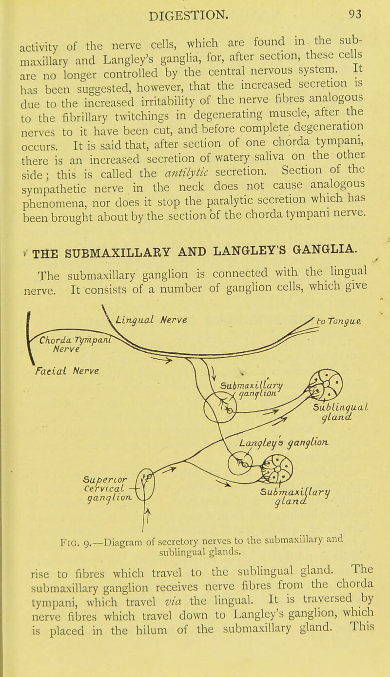 activity of the nerve cells, which are found in the sub- maxillary and Langley's ganglia, for, after section, these cells are no longer controlled by the central nervous system, it has been suggested, however, that the increased secretion is due to the increased irritability of the nerve fibres analogous to the fibrillary twitchings in degenerating muscle, after the nerves to it have been cut, and before complete degeneration occurs. It is said that, after section of one chorda tympani, there is an increased secretion of watery saliva on the other, side; this is called the anfilyilc secretion. Section of the sympathetic nerve in the neck does not cause analogous phenomena, nor does it stop the paralytic secretion which has been brought about by the section of the chorda tympani nerve. ^ THE SUBMAXILLARY AND LANGLEY'S GANGLIA. The submaxillary ganglion is connected with the lingual nerve. It consists of a number of ganglion cells, which give Fig. 9.—Diagram of secretory nerves to the submaxillary and sublingual glands. rise to fibres which travel to the sublingual gland. The submaxillary ganglion receives nerve fibres from the chorda tympani, which travel via the lingual. It is traversed by nerve fibres which travel down to Langley's ganglion, which is placed in the hilum of the submaxillary gland. This