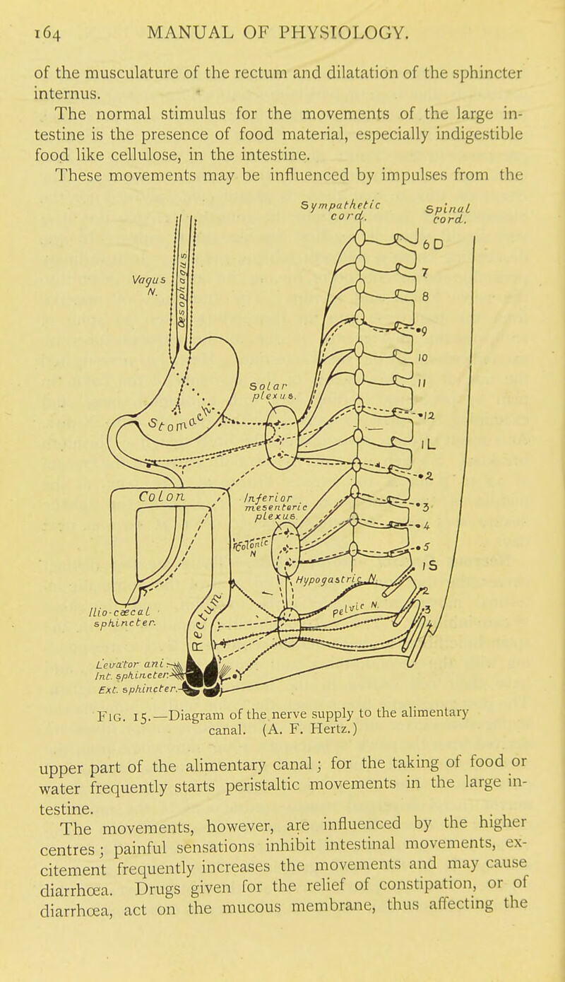 of the musculature of the rectum and dilatation of the sphincter internus. The normal stimulus for the movements of the large in- testine is the presence of food material, especially indigestible food like cellulose, in the intestine. These movements may be influenced by impulses from the Fig 15.—Diagram of the nerve supply to the alimentary canal. (A. F. Hertz.) upper part of the alimentary canal; for the taking of food or water frequently starts peristaltic movements in the large in- testine. The movements, however, are influenced by the higher centres; painful sensations inhibit intestinal movements, ex- citement frequently increases the movements and may cause diarrhoea. Drugs given for the relief of constipation, or of diarrhoea, act on the mucous membrane, thus affecting the