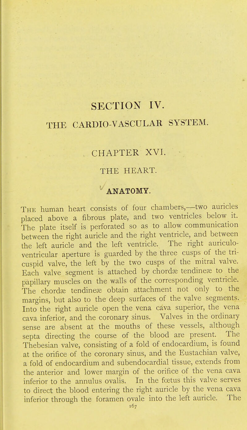 SECTION IV. THE CARDIO-VASCULAR SYSTEM. , CHAPTER XVI. THE HEART. ^' ANATOMY. The human heart consists of four chambers,—two auricles placed above a fibrous plate, and two ventricles below it. The plate itself is perforated so as to allow communication between the right auricle and the right ventricle, and between the left auricle and the left ventricle. The right auriculo- ventricular aperture is guarded by the three cusps of the tri- cuspid valve, the left by the two cusps of the mitral valve. Each valve segment is attached by chordae tendinese to the papillary muscles on the walls of the corresponding ventricle. The chordae tendine^ obtain attachment not only to the margins, but also to the deep surfaces of the valve segments. Into the right auricle open the vena cava superior, the vena cava inferior, and the coronary sinus. Valves in the ordinary sense are absent at the mouths of these vessels, although septa directing the course of the blood are present. The Thebesian valve, consisting of a fold of endocardium, is found at the orifice of the coronary sinus, and the Eustachian valve, a fold of endocardium and subendocardial tissue, extends from the anterior and lower margin of the orifice of the vena cava inferior to the annulus ovalis. In the foetus this valve serves to direct the blood entering the right auricle by the vena cava inferior through the foramen ovale into the left auricle. The