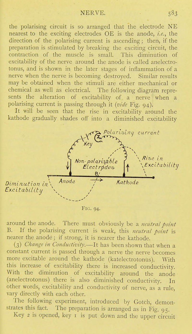 the polarising circuit is so arranged tliat the electrode NE nearest to the exciting electrodes OE is the anode, i.e.^ the direction of the polarising current is ascending; then, if the preparation is stimulated by breaking the exciting circuit, the contraction of the muscle is small. This diminution of excitability of the nerve around the anode is called anelectro- tonus, and is shown in the later stages of inflammation of a nerve when the nerve is becoming destroyed. Similar results may be obtained when the stimuli are either mechanical or chemical as well as electrical. The following diagram repre- sents the alteration of excitability of a nerve when a polarising current is passing through it {vide Fig. 94). It will be seen that the rise in excitabihty around the kathode gradually shades off into a diminished excitability around the anode. There must obviously be a neutral point B. If the polarising current is weak, this neutral point is nearer the anode ; if strong, it is nearer the kathode. (3) Change in Conductivity.—It has been shown that when a constant current is passed through a nerve the nerve becomes more excitable around the kathode (katelectrotonus). With this increase of excitability there is increased conductivity. With the diminution of excitability around the anode (anelectrotonus) there is also diminished conductivity. In other words, excitability and conductivity of nerve, as a rule, vary directly with each other. The following experiment, introduced by Gotch, demon- strates this fact. The preparation is arranged as in Fig, 95. Key 2 is opened, key i is put down and the upper circuit Anod& -f^ Katkoda Dimination Ln\ ExcitabiUty