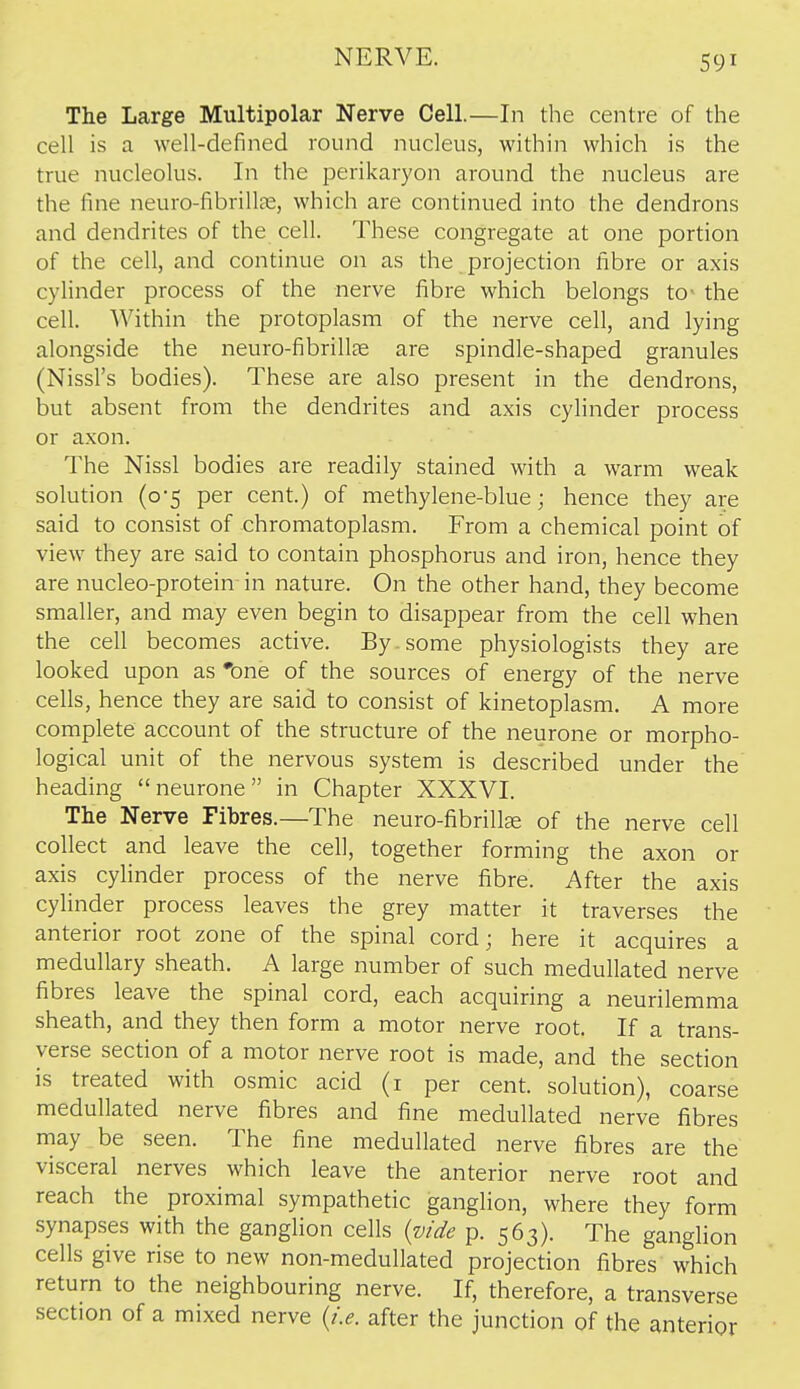 The Large Multipolar Nerve Cell.—In tlie centre of the cell is a well-defined round nucleus, within which is the true nucleolus. In the perikaryon around the nucleus are the fine neuro-fibrillDS, which are continued into the dendrons and dendrites of the cell. These congregate at one portion of the cell, and continue on as the projection libre or axis cylinder process of the nerve fibre which belongs to^ the cell. Within the protoplasm of the nerve cell, and lying alongside the neuro-fibrillae are spindle-shaped granules (Nissl's bodies). These are also present in the dendrons, but absent from the dendrites and axis cylinder process or axon. The Nissl bodies are readily stained with a warm weak solution (0-5 per cent.) of methylene-blue; hence they are said to consist of chromatoplasm. From a chemical point of view^ they are said to contain phosphorus and iron, hence they are nucleo-protein in nature. On the other hand, they become smaller, and may even begin to disappear from the cell when the cell becomes active. By.some physiologists they are looked upon as 'one of the sources of energy of the nerve cells, hence they are said to consist of kinetoplasm. A more complete account of the structure of the neurone or morpho- logical unit of the nervous system is described under the heading  neurone in Chapter XXXVI. Tlie Nerve Fibres.—The neuro-fibrill^e of the nerve cell collect and leave the cell, together forming the axon or axis cyHnder process of the nerve fibre. After the axis cylinder process leaves the grey matter it traverses the anterior root zone of the spinal cord; here it acquires a medullary sheath. A large number of such medullated nerve fibres leave the spinal cord, each acquiring a neurilemma sheath, and they then form a motor nerve root. If a trans- verse section of a motor nerve root is made, and the section is treated with osmic acid (i per cent, solution), coarse medullated nerve fibres and fine medullated nerve fibres may be seen. The fine medullated nerve fibres are the visceral nerves which leave the anterior nerve root and reach the proximal sympathetic ganglion, where they form synapses with the ganglion cells {vide p. 563). The ganglion cells give rise to new non-medullated projection fibres which return to the neighbouring nerve. If, therefore, a transverse section of a mixed nerve {i.e. after the junction of the anterior