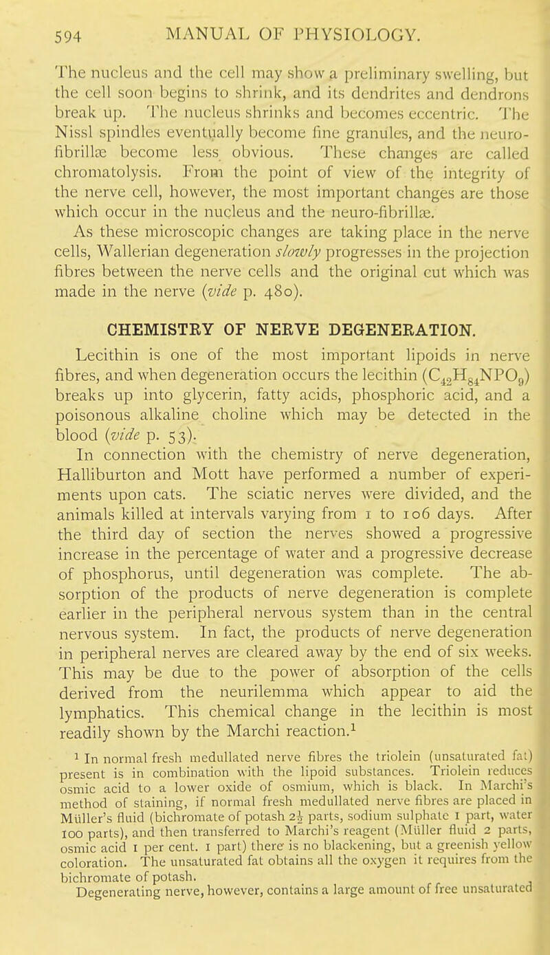 The nucleus and the cell may show a preliminary swelling, but the cell soon begins to shrink, and its dendrites and dendrons break up. The nucleus shrinks and becomes eccentric. The Nissl spindles eventually become fine granules, and the neuro- fibrillee become less obvious. These changes are called chromatolysis. From the point of view of the integrity of the nerve cell, however, the most important changes are those which occur in the nucleus and the neuro-fibrillas. As these microscopic changes are taking place in the nerve cells, Wallerian degeneration slowly progresses in the projection fibres between the nerve cells and the original cut which was made in the nerve (^ide p. 480). CHEMISTRY OF NERVE DEGENERATION, Lecithin is one of the most important lipoids in nerve fibres, and when degeneration occurs the lecithin (C^gHg^NPOg) breaks up into glycerin, fatty acids, phosphoric acid, and a poisonous alkaline choline which may be detected in the blood {vide p. 53). In connection with the chemistry of nerve degeneration, Halliburton and Mott have performed a number of experi- ments upon cats. The sciatic nerves were divided, and the animals killed at intervals varying from i to 106 days. After the third day of section the nerves showed a progressive increase in the percentage of water and a progressive decrease of phosphorus, until degeneration was complete. The ab- sorption of the products of nerve degeneration is complete earlier in the peripheral nervous system than in the central nervous system. In fact, the products of nerve degeneration in peripheral nerves are cleared away by the end of six weeks. This may be due to the power of absorption of the cells derived from the neurilemma which appear to aid the lymphatics. This chemical change in the lecithin is most readily shown by the Marchi reaction.^ 1 In normal fresh medullated nerve fibres the triolein (unsaturated fal) present is in combination with the lipoid substances. Triolein reduces osmic acid to a lower oxide of osmium, which is black. In Marchi s method of staining, if normal fresh medullated nerve fibres are placed in Mliller's fluid (bichromate of potash 2\ parts, sodium sulphate I part, water 100 parts), and then transferred to Marchi's reagent (Mtiller fluid 2 parts, osmic acid I per cent, i part) there is no blackening, but a greenish yellow coloration. The unsaturated fat obtains all the oxygen it requires from the bichromate of potash. Degenerating nerve, however, contains a large amount of free unsaturated