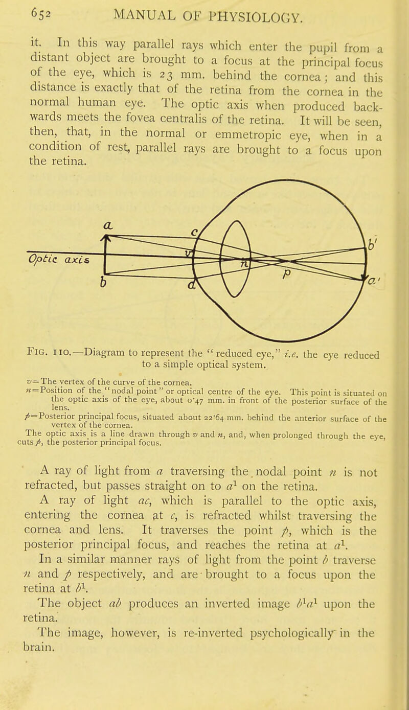 it. In this way parallel rays which enter the pupil from a distant object are brought to a focus at the principal focus of the eye, which is 23 mm. behind the cornea; and this distance is exactly that of the retina from the cornea in the normal human eye. The optic axis when produced back- wards meets the fovea centralis of the retina. It will be seen, then, that, in the normal or emmetropic eye, when in a condition of rest, parallel rays are brought to a focus upon the retina. Fig. 110.—Diagram to represent the reduced eye, i.e. the eye reduced to a simple optical system. w=The vertex of the curve of the cornea. «=Position of the  nodal point  or optical centre of the eye. This point is situated on the optic axis of the eye, about 0-47 mm. in front of the posterior surface of the lens. ;>=Posterior principal focus, situated about ii'^a, mm. behind the anterior surface of the vertex of the cornea. The optic axis is a line drawn through v and n, and, when prolonged through the eye, cuts/, the posterior principal focus. ° ' A ray of light from a traversing the. nodal point n is not refracted, but passes straight on to a)- on the retina. A ray of light ac, which is parallel to the optic axis, entering the cornea at c, is refracted whilst traversing the cornea and lens. It traverses the point /, which is the posterior principal focus, and reaches the retina at cO-. In a similar manner rays of light from the point h traverse n and p respectively, and are brought to a focus upon the retina at U^. The object ab produces an inverted image li^ci^ upon the retina. The image, however, is re-inverted psychologically in the brain.