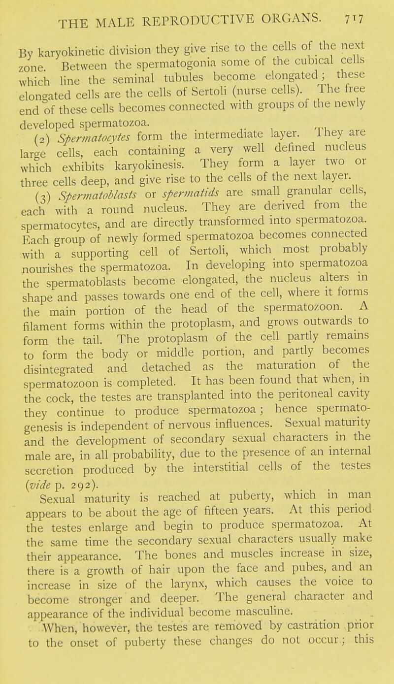 By karyokinetic division they give rise to the cells of the next zone Between the spermatogonia some of the cubical cells which line the seminal tubules become elongated; these elon-ated cells are the cells of Sertoli (nurse cells). The free end of these cells becomes connected with groups of the newly developed spermatozoa. (2) spermatocytes form the intermediate layer. Ihey are large cells, each containing a very well defined nucleus which exhibits karyokinesis. They form a layer two or three cells deep, and give rise to the cells of the next layer. i-i) spermatoblasts or spermatids are small granular cells, each with a round nucleus. They are derived from the spermatocytes, and are directly transformed into spermatozoa Each group of newly formed spermatozoa becomes connected with a supporting cell of Sertoli, which most probably nourishes the spermatozoa. In developing into spermatozoa the spermatoblasts become elongated, the nucleus alters m shape and passes towards one end of the cell, where it forms the main portion of the head of the spermatozoon. A filament forms within the protoplasm, and grows outwards to form the tail. The protoplasm of the cell partly remains to form the body or middle portion, and partly becomes disintegrated and detached as the maturation of the spermatozoon is completed. It has been found that when, in the cock, the testes are transplanted into the peritoneal cavity they continue to produce spermatozoa; hence spermato- genesis is independent of nervous influences. Sexual maturity and the development of secondary sexual characters in the male are, in all probability, due to the presence of an internal secretion produced by the interstitial cells of the testes [vide p. 292). Sexual maturity is reached at puberty, which in man appears to be about the age of fifteen years. At this period the testes enlarge and begin to produce spermatozoa. At the same time the secondary sexual characters usually make their appearance. The bones and muscles increase in size, there is a growth of hair upon the face and pubes, and an increase in size of the larynx, which causes the voice to become stronger and deeper. The general character and appearance of the individual become masculine. ■Wh^ri, however, the testes are removed by castration prior to the onset of puberty these changes do not occur; this