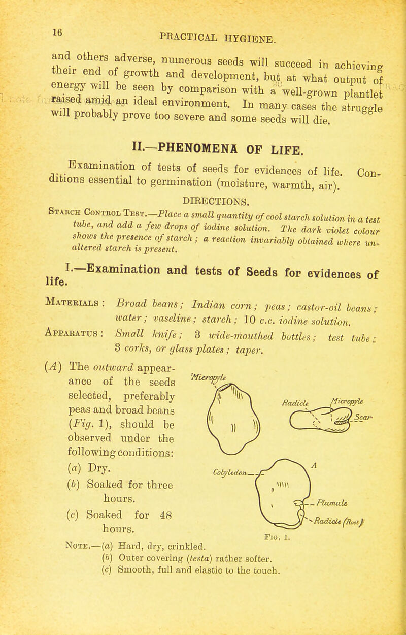 and others adverse, numerous seeds will succeed in achieving n J development, but at what output of energy will be seen by comparison with a'well-grown plantlet^ wml ^'1 --ronment. In many casfs the s'truggL will probably prove too severe and some seeds will die. II.—PHENOMENA OF LIFE. Examination of tests of seeds for evidences of life. Con- ditions essential to germination (moisture, warmth, air). DIKECTIONS. Stabch Contkol T^ST.-Place a small quantity of cool starch solution in a test tube, and add a few drops of iodine solution. The dark violet colour shoios the presence of starch ; a reaction invariably obtained ivhere un- altered starch is present. I—Examination and tests of Seeds for evidences of life. Materials: Broad beans; Indian corn; peas; castor-oil beans; water; vaseline; starch; 10 c.c. iodine solution. Apparatus: Small knife; 3 ivide-mouthed bottles; test tube; 3 corks, or glass plates; taper. {A) The outward appear- ance of the seeds selected, preferably peas and broad beans 'MieropyU {Fi(j. 1), should be observed under the following conditions: (fl) Dry. {b) Soaked for three hours. (c) Soaked for 48 hours. MicropyU 'J!/ Scar- .PUumiU, Fig. 1. Note.—(a) Hard, dry, crinkled. (h) Outer covering {testa) rather softer, (c) Smooth, full and elastic to the touch.