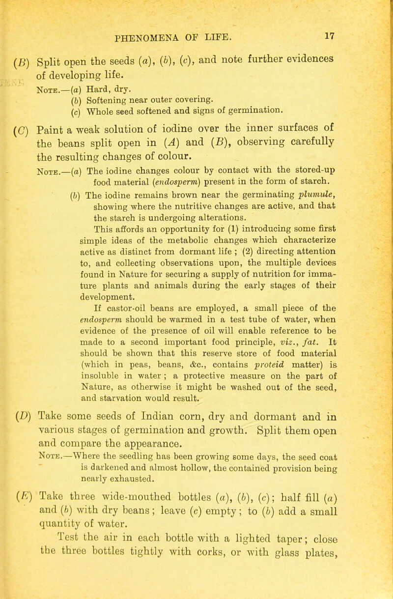 (B) Split open the seeds (a), {b), (c), and note further evidences of developing life. Note.—(a) Hard, dry. (&) Softening near outer covering. (c) Whole seed softened and signs of germination. (C) Paint a weak solution of iodine over the inner surfaces of the beans split open in {A) and (JB), observing carefully the resulting changes of colour. Note.—(a) The iodine changes colour by contact with the stored-up food material {endosperm) present in the form of starch. (6) The iodine remains brown near the germinating plumule, showing where the nutritive changes are active, and that the starch is undergoing alterations. This affords an opportunity for (1) introducing some first simple ideas of the metabolic changes which characterize active as distinct from dormant life ; (2) directing attention to, and collecting observations upon, the multiple devices found in Nature for securing a supply of nutrition for imma- ture plants and animals during the early stages of their development. If castor-oil beans are employed, a small piece of the endosperm should be warmed in a test tube of water, when evidence of the presence of oil will enable reference to be made to a second important food principle, viz., fat. It should be shown that this reserve store of food material (which in peas, beans, &c., contains proteid matter) is insoluble in water ; a protective measure on the part of Nature, as otherwise it might be washed out of the seed, and starvation would result. (D) Take some seeds of Indian corn, dry and dormant and in various stages of germination and growth. Split them open and compare the appearance. Note.—Where the seedling has been growing some days, the seed coat is darkened and almost hollow, the contained provision being nearly exhausted, (E) Take three wide-mouthed bottles (a), {b), (c); half fill (a) and (/)) with dry beans; leave (c) empty; to (b) add a small quantity of water. Test the air in each bottle with a lighted taper; close the three bottles tightly with corks, or with glass plates,