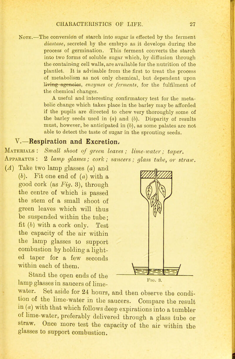 Note.—The conversion of starch into sugar is effected by the ferment diastase, secreted by the embryo as it develops during the process of germination. This ferment converts the starch into two forms of soluble sugar which, by diffusion through the containing cell walls, are available for the nutrition of the plantlet. It is advisable from the first to treat the process of metabolism as not only chemical, but dependent upon Itving-agencies, enzijmes or ferments, for the fulfilment of the chemical changes. A useful and interesting confirmatory test for the meta- bolic change which takes place in the barley may be afforded if the pupils are directed to chew very thoroughly some of the barley seeds used in (a) and (h). Disparity of results must, however, be anticipated in (&), as some palates are not able to detect the taste of sugar in the sprouting seeds. V.—Respiration and Excretion^ Materials: Small shoot of green leaves; Ihne-water; taper. Apparatus: 2 lamp glasses; cork; saiicers; glass tube, or straw. {A) Take two lamp glasses (a) and (b). Fit one end of (a) with a good cork (as Fig. 3), through the centre of which is passed the stem of a small shoot of green leaves which will thus be suspended within the tube; fit (6) with a cork only. Test the capacity of the air within the lamp glasses to support combustion by holding a light- ed taper for a few seconds within each of them. Stand the open ends of the lamp glasses in saucers of lime- water. Set aside for 24 hours, and then observe the condi- tion of the lime-water in the saucers. Compare the result m (a) with that which follows deep expirations into a tumbler of lime-water, preferably delivered through a glass tube or straw. Once more test the capacity of the air within the glasses to support combustion.