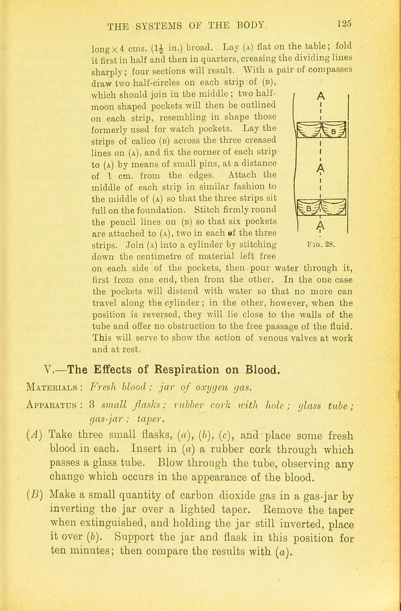 Fig. 28. loBgx4 cms. m in.) broad. Lay (a) flat on the table; fold it first in half and then in quarters, creasing the dividing Hues sharply; four sections will result. With a pair of compasses draw two half-circles on each strip of (b), which should join in the middle ; two half- moon shaped pockets will then be outlined on each strip, resembling in shape those formerly used for watch pockets. Lay the strips of calico (b) across the three creased lines on (a), and fix the corner of each strip to (a) by means of small pins, at a distance of 1 cm. from the edges. Attach the middle of each strip in similar fashion to the middle of (a) so that the three strips sit full on the foundation. Stitch firmly round the pencil lines on (b) so that six pockets are attached to (a) , two in each of the three strips. Join (a) into a cylinder by stitching down the centimetre of material left free on each side of the pockets, then-pour water through it, first from one end, then from the other. In the one case the pockets will distend with water so that no more can travel along the cylinder; in the other, however, when the position is reversed, they will lie close to the walls of the tube and offer no obstruction to the free passage of the fluid. This will serve to show the action of venous valves at work and at rest. V.—The Effects of Respiration on Blood. Materials : Fresh blood; jar of oxygefi gas. Apparatus: 3 small flasks; rubber cork with hole; glass tube; gas-jar ; taper. {A) Take three small flasks, (a), {b), (c), and place some fresh blood in each. Insert in (a) a rubber cork through which passes a glass tube. Blow through the tube, observing any change which occurs in the appearance of the blood, (B) Make a small quantity of carbon dioxide gas in a gas-jar by inverting the jar over a lighted taper. Eemove the taper when extinguished, and holding the jar still inverted, place it over (6). Support the jar and flask in this position for ten minutes; then compare the results with (a).