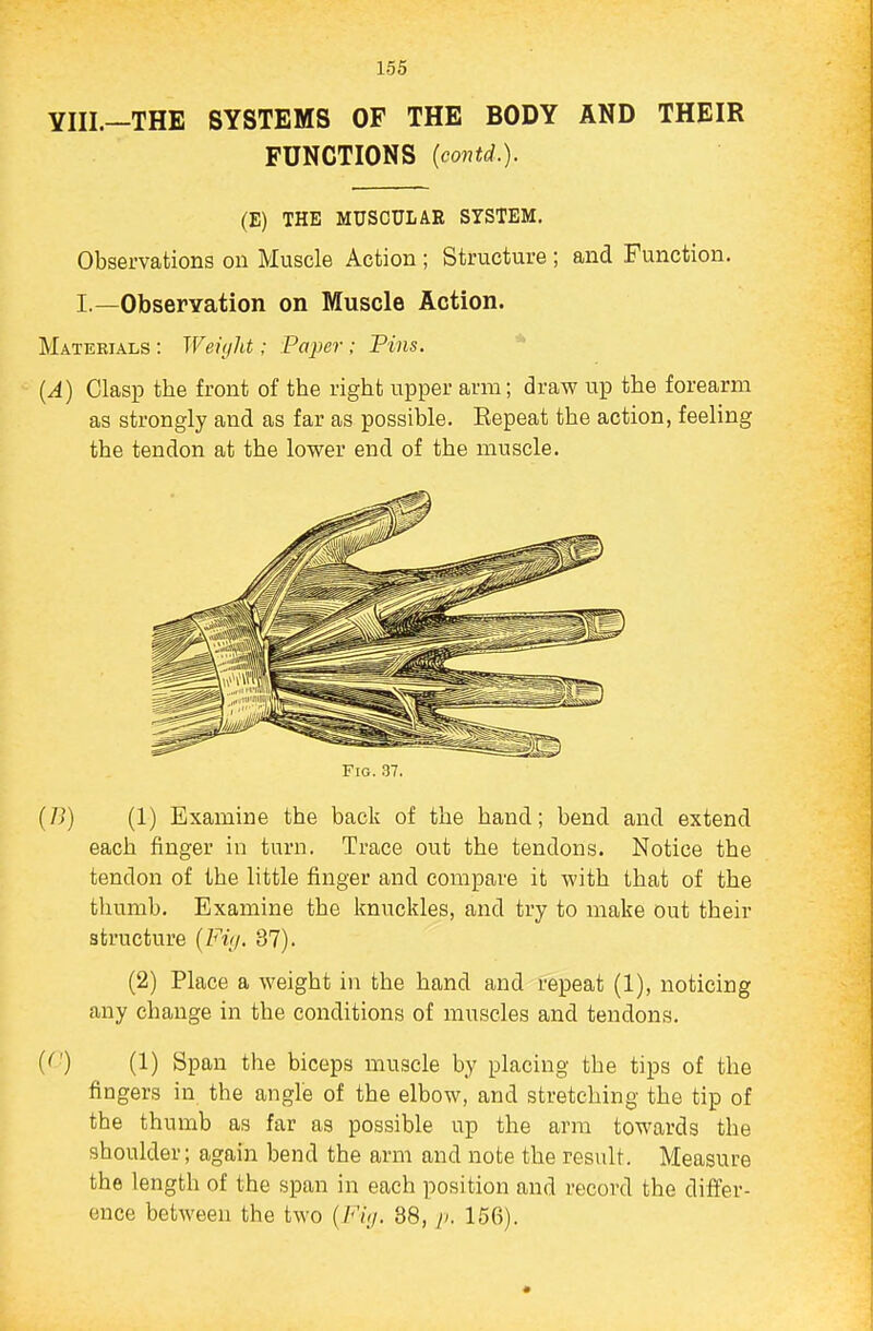 YIII.—THE SYSTEMS OF THE BODY AND THEIR FUNCTIONS (covtd.). Observations on Muscle Action ; Structure ; and Function. I.—Observation on Muscle Action. Materials : Weight; Paper ; Fins. * {A) Clasp the front of the right upper arm; draw up the forearm as strongly and as far as possible. Eepeat the action, feeling the tendon at the lower end of the muscle. (B) (1) Examine the back of the hand; bend and extend each finger in turn. Trace out the tendons. Notice the tendon of the little finger and compare it with that of the thumb. Examine the Imuckles, and try to make out their structure {Fvj. 87). (2) Place a weight in the hand and repeat (1), noticing any change in the conditions of muscles and tendons. (''') (1) Span the biceps muscle by placing the tips of the fingers in the angle of the elbow, and stretching the tip of the thumb as far as possible up the arm towards the shoulder; again bend the arm and note the result. Measure the length of the span in each position and record the differ- ence between the two {Fi(j. 38, />. 156). (E) THE MUSCULAR SYSTEM. F[G. 37.