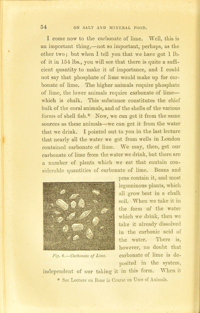 I come now to the carbonate of lime. Well, this is an important thing,—not So important, pei-haps, as the other two; but when I tell you that we have got 1 lb. of it in 154 lbs., you will see that there is quite a suffi- cient quantity to make it of importance, and I could not say that phosphate of lime would make up for car- bonate of lime. The higher animals require phosphate of lime, the lower animals requii'e carbonate of lime— which is chalk. This substance constitutes the chief bulk of the coral animals, and of the shells of the various forms of shell fish.* Now, we can get it from the same sources as these animals—we can get it from the water that we drink. I pointed out to you in the last lecture that nearly all the water we got from wells in London contained carbonate of lime. We may, then, get our carbonate of lime from the water we drink, but there are a number of plants which we eat that contain con- siderable quantities of carbonate of lime. Beans and peas contain it, and most 1 leguminous plants, whicli all grow best in a chalk soil. When we take it in CI '^^^^ the form of the water Ah W'hich we drink, then we take it already dissolved in the carbonic acid of the water. There is, ft however, no doubt that Flcj. 6.- -Carbonate of Lime. carbonate of lime is de- posited in the system, independent of our taking it in this form. When it * See Lecture on Boue in Course on Uses of Animals.