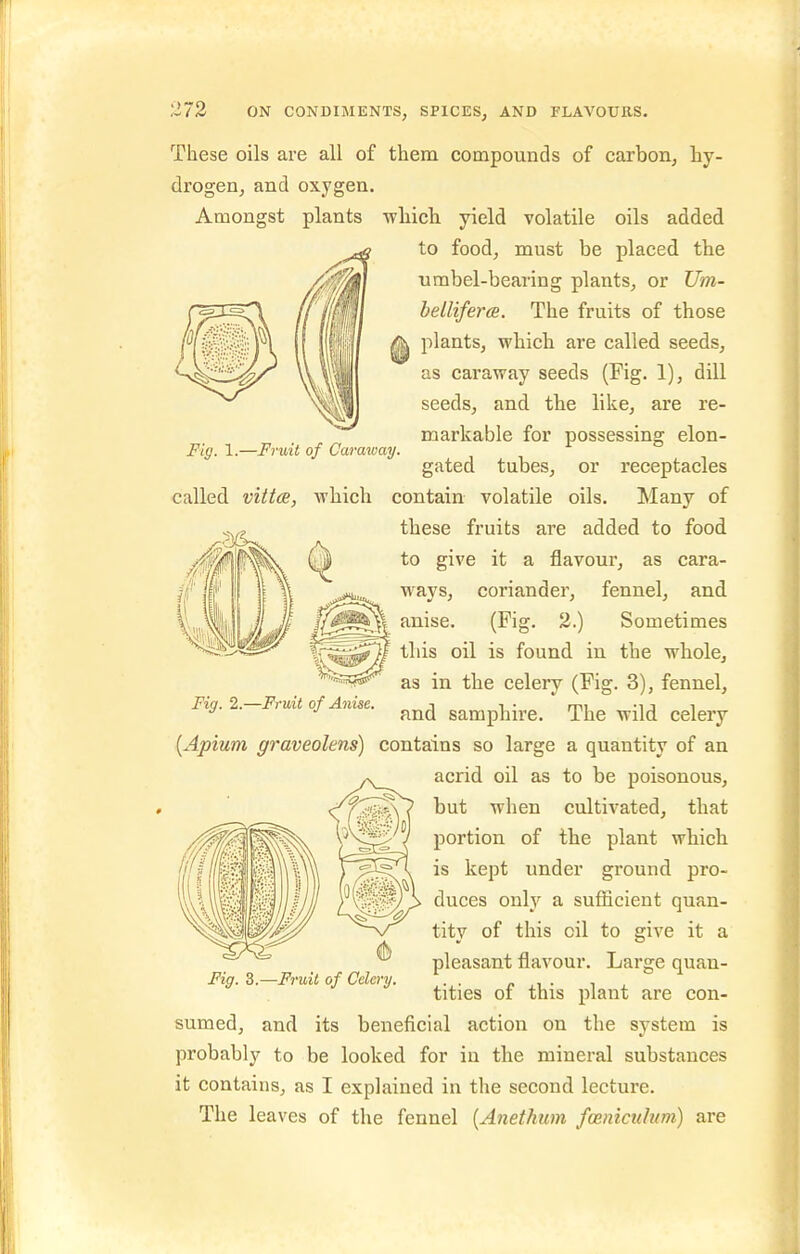 Fig. 1.—Fruit of Caraway. These oils are all of them compounds of carbon, hy- drogen, and oxygen. Amongst plants whicli yield volatile oils added to food, must be placed the umbel-bearing plants, or Um- belliferce. The fruits of those plants, which are called seeds, as caraway seeds (Fig. 1), dill seeds, and the like, are re- markable for possessing elon- gated tubes, or receptacles called vittce, which contain volatile oils. Many of these fruits are added to food to give it a flavour, as cara- ways, coriander, fennel, and anise. (Fig. 2.) Sometimes this oil is found in the whole, as in the celery (Fig. 3), fennel, and samphire. The wild celery {Apium graveolens) contains so large a quantity of an acrid oil as to be poisonous, but when cultivated, that portion of the plant which is kept under ground pro- duces onlv a sufficient quan- tity of this oil to give it a pleasant flavour. Large quan- tities of this plant are con- sumed, and its beneficial action on the system is probably to be looked for in the mineral substances it contains, as I explained in the second lecture. The leaves of the fennel [Anethum fmnicidum) are Fig. 2.—Fruit of Anise. Fig. 3.—Fruit of Celery.