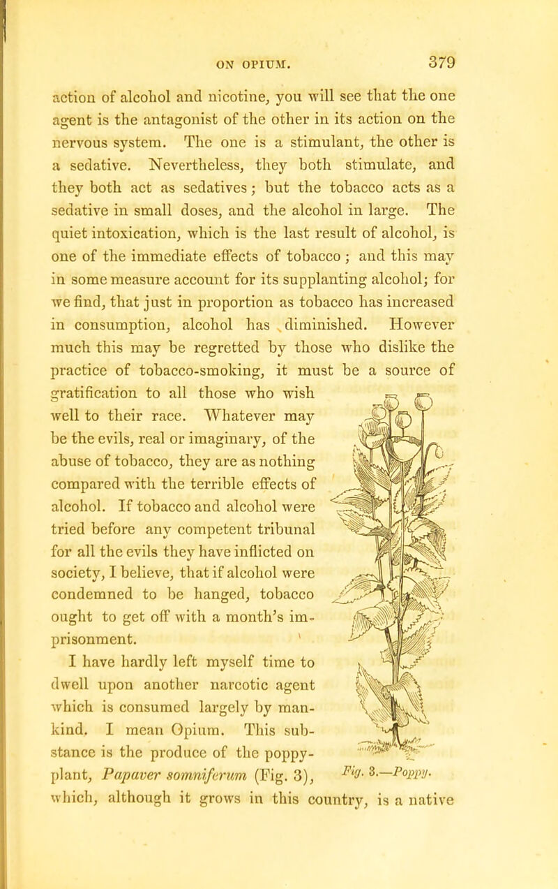 action of alcohol and nicotine, you will see that the one agent is the antagonist of the other in its action on the nervous system. The one is a stimulant, the other is a sedative. Nevertheless, they both stimulate, and they both act as sedatives; but the tobacco acts as a sedative in small doses, and the alcohol in large. The quiet intoxication, which is the last result of alcohol, is one of the immediate effects of tobacco ; and this may in some measure account for its supplanting alcohol; for we find, that just in proportion as tobacco has increased in consumption, alcohol has diminished. However much this may be regretted by those who dislike the practice of tobacco-smoking, it must be a source of gratification to all those who wish well to their race. Whatever may be the evils, real or imaginary, of the abuse of tobacco, they are as nothing compared with the terrible efi'ects of alcohol. If tobacco and alcohol were tried before any competent tribunal for all the evils they have inflicted on society, I believe, that if alcohol were condemned to be hanged, tobacco ought to get off with a month's im- prisonment. ' I have hardly left myself time to dwell upon another narcotic agent which is consumed largely by man- kind. I mean Opium. This sub- stance is the produce of the poppy- plant, Papaver somniferum (Fig, 3), whicli, although it grows in this country, is a native Fig. Z.—Poppy.