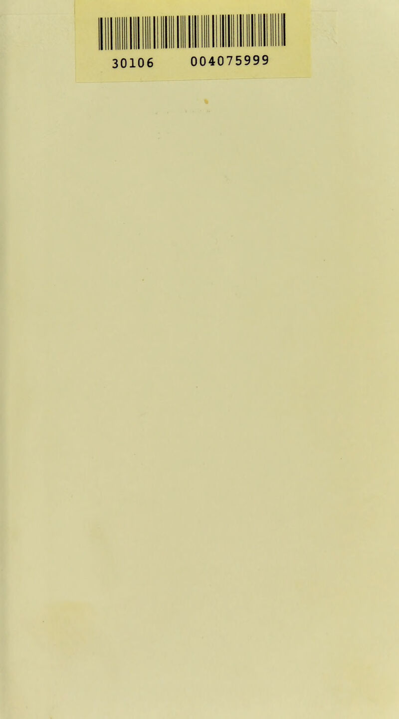 30106 004075999