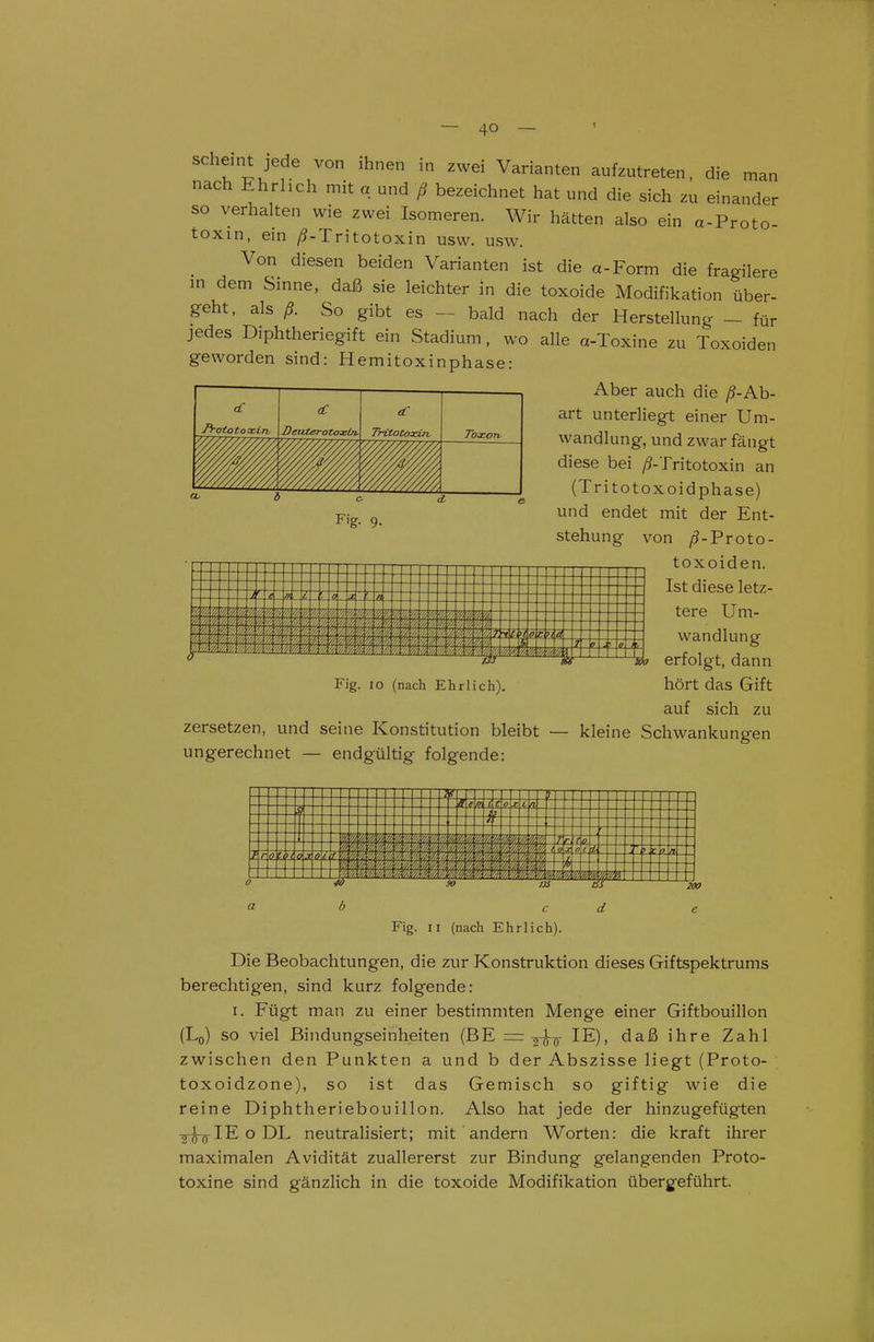 scheint jede von ihnen in zwei Varianten aufzutreten, die man nach Ehrhch mit a und ß bezeichnet hat und die sich zu einander so verhalten wie zwei Isomeren. Wir hätten also ein a-Proto- toxin, em /?-Tritotoxin usw. usw. Von diesen beiden Varianten ist die a-Form die fragilere in dem Sinne, daß sie leichter in die toxoide Modifikation über- geht, als ß. So gibt es — bald nach der Herstellung — für jedes Diphtheriegift ein Stadium, wo alle a-Toxine zu Toxoiden geworden sind: Hemitoxinphase: Aber auch die ß-Ah- art unterliegt einer Um- wandlung, und zwar fängt diese bei /?-Tritotoxin an (Tritotoxoidphase) und endet mit der Ent- stehung von ^-Proto- toxoiden. Ist diese letz- tere Um- wandlung ^ erfolgt, dann hört das Gift auf sich zu zersetzen, und seine Konstitution bleibt — kleine Schwankungen ungerechnet — endgültig folgende: I^ototoa>in, (C Deuterotoxiji. Tritotoxin Toocon- WM m Fig. 9. Fig. 10 (nach Ehrlich). 200 Fig. II (nach Ehrlich). Die Beobachtungen, die zur Konstruktion dieses Giftspektrums berechtigen, sind kurz folgende: I. Fügt man zu einer bestimmten Menge einer Giftbouillon (Lo) so viel ßindungseinheiten (BE =IE), daß ihre Zahl zwischen den Punkten a und b der Abszisse liegt (Proto- toxoidzone), so ist das Gemisch so giftig wie die reine Diphtheriebouillon. Also hat jede der hinzugefügten -jJ^IEoDL neutralisiert; mit andern Worten: die kraft ihrer maximalen Avidität zuallererst zur Bindung gelangenden Proto- toxine sind gänzlich in die toxoide Modifikation übergeführt.