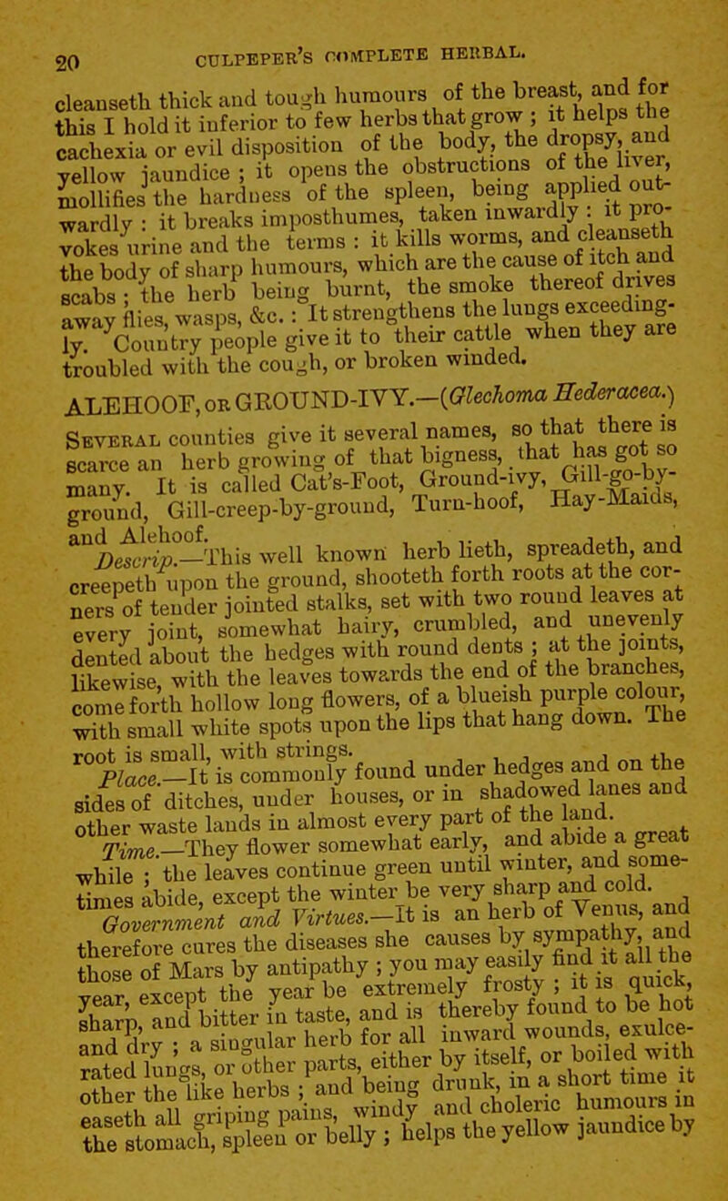 cleanseth thick aad tough humours of t^e breast and for this I hold it inferior to few herbs that grow ; it helps the caclexl or evil disposition of the body, the dropsy an^ vellow iaundice ; it opens the obstructions of the liver, Slei the hardness'of the spleexi, being applied out- wardly • it breaks imposthumes, taken inwardly . it pro vokes urine and the terms : it kills worms, and c eanseth The body of sSp humours, which are the cause of itch and sc^bs the her? being biirnt, the smoke thereof drives away flies, wasps, &c. :°It strengtliens tbf/-g« «Xv aK ly. ^Country people give it to their cattle when they are troubled with the cou^h, or broken winded. ALEHOOF, OR GROUND-IVY.-((7ZecAoma Eedera/:ea.-) Several counties give it several names, 8° scarce an herb growing of that bigness, that has got so Lany It is called CalVFoot, Ground-ivy, GUl-go-b^^^^ ground, Gill-creep-by-ground, Turn-hoof, Hay-Maids, ^''ietlt-This well knowtl herb lieth, spreadeth, and creepeth upon the ground, shooteth forth roots at the cor- ners of tender jointed stalks, set with two round leaves at TverrjoinC somewhat hairy, crumbled and unevenly dS about the hedges with round dents ; at the joints, likew se! with the leaves towards the end of the branches, c7m: orth hollow long flowers, of a W-e-b purple coloijj with small white spots upon the hps that hang down. The '%ScT-^iZt^^:iho^^n^ under hedges and on the sid^s of ditches, under houses, or in Bbado^d^^^^^^ and other waste lands in almost every part of the land. m• e —They flower somewhat early, and abide a great whirr the Jves continue green until winter, and some- Ws abide, except the winter be very sharp and cold OovTnment and Virtues.-lt an herb of Venus, and therefore cu^es the diseases she causes ^7 sympathy and to of Mars by antipathy ; you may easdy find ^t all the vear except the year be extremely frosty , it is quicK, sha™ Sitter in taste, and is thereby found to be hot