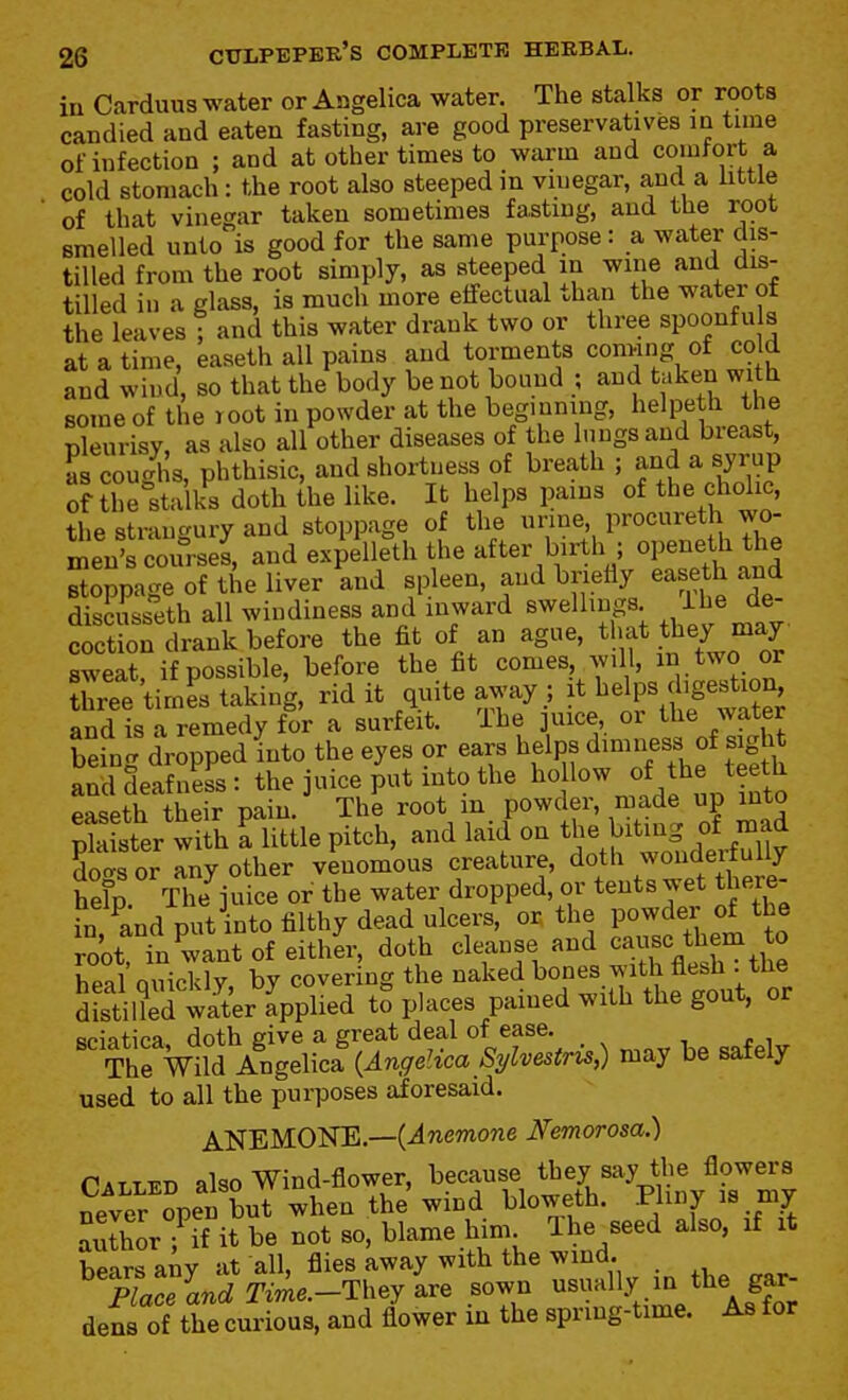 in Carduus water or Angelica water. The stalks or roots candied and eaten fasting, are good preservatives in time of infection ; and at other times to warm and co>nfort a cold stomach: the root also steeped in vinegar, and a little of that vinegar taken sometimes fasting, and the root smelled unto is good for the same purpose: a water dis- tilled from the root simply, as steeped in wine and dis- tilled in a glass, is much more effectual than the water of the leaves f and this water drank two or three spoonfu s at a time, easeth all pains and torments connng of cold and wind, so that the body be not bound ; and taken with some of the root in powder at the beg.nning, helpeth the Dleurisv as also all other diseases of the lungs and breast, HB coughs, phthisic, and shortness of breath ; and a syrup of theWlks doth the like. It helps pains of the cholic, the strangury and stoppage of the urine, procureth wo- '^ent ou^^^^^^^ and exielleth the after birth ; openeth the stoppage of the liver and spleen, and bnefly ease h and discusseth all wiudiness and inward swellings de coction drank before the fit of an ague, that they may sweX if possible, before the fit comes will, /wo or Uiree times taking, rid it quite away ; it l^elps d.ges^t^u and is a remedy for a surfeit. The ]uice, or the water being dropped into the eyes or ears helps dimness of sight and deafness: the juice put into the f ^ easeth their pain. The root m powder, made up into plaister with a little pitch, and laid on ^^e biting of W dot^s or any other venomous creature, doth wondertuliy help. The^juice or the water dropped, or tents wet there- in and put into filthy dead ulcers, or the powder of the root in want of either, doth cleanse and cause them to heal Quickly by covering the naked bones with flesh . tlie SLtilled water Applied to places pained with the gout, or sciatica doth give a great deal of ease. The Wild AgeMci {Anffelica S^/lvestris,) may be safely used to all the purposes aforesaid. ANEMONE.—(^«emone Nemorosa.) CALLED also Wind-flower, because ^^J^^^*/?^^?^^^; never open but when the wind bloweth. Pliny is my authorTif it be not so, blame him The seed also, if it hears any at all, flies away with the wind. Prannkrime.-Theylre sown usually in the gar- dens of tie curious, and flower in the spring-time. As for