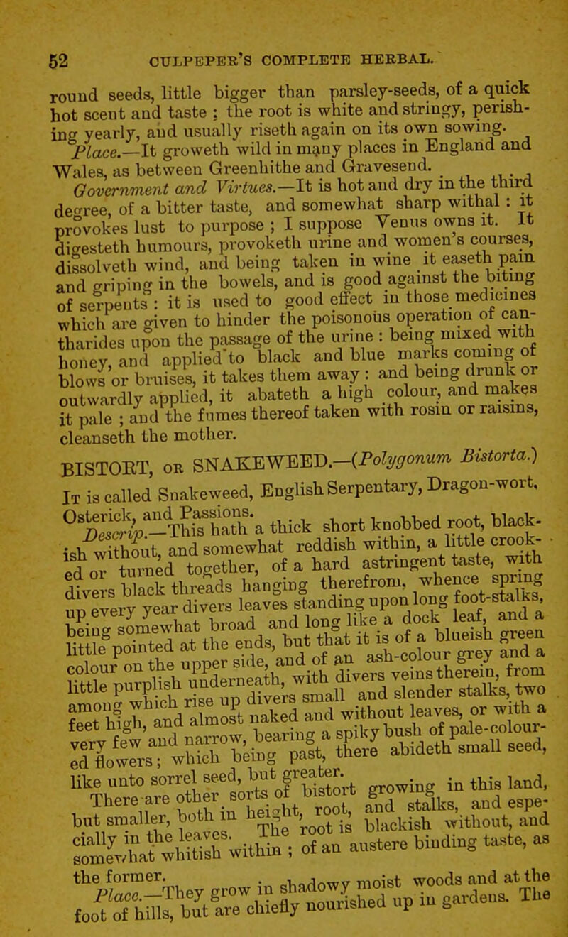 round seeds, little bigger than parsley-seeds, of a quick hot scent and taste : the root is white and stringy, perish- ing yearly, and usually riseth again on its own sowing. Flace.—lt groweth wild in mgrny places in England and Wales, as between Greenhithe and Gravesend. , . , Government and Virtues—It is hot and dry mthe third deforce, of a bitter taste, and somewhat sharp withal : it prSvokes lust to purpose ; I suppose Venus owns it. It Sieesteth humours, provoketh urine and women s courses, dissolveth wind, and beiug taken in wine it easeth pam and criping in the bowels, and is good against the biting of serpents : it is used to good effect in those medicines which are given to hinder the poisonous operation of can- tharides a?on the passage of the urine : ^^^mg iixed wi^^^. honey, and applied'to black and blue marks coming of blows or bruises, it takes them away : and being drunk or outwardly applied, it abateth a high colour, and makes it pale ; and the fumes thereof taken with rosin or raisins, cleanseth the mother. BISTORT OR SNAKEWEED.-(Po%onMm Bistorta.) It is called Snakeweed, English Serpentary, Dragon-wort, t^SV-TWs'hrh a thick short knobbed root, bla^k- ish SSxt, and somewhat reddish within, a M^le crook^ ■ S or turned to^rether, of a hard astringent taste, with Chif ^dXSS without leave,, or with a the former. . j —„ mm'st woods and at the P^ac«.-They grow in f^^^^^^S upTgardeus. The foot of hills, but are chiefly nourisnea up g