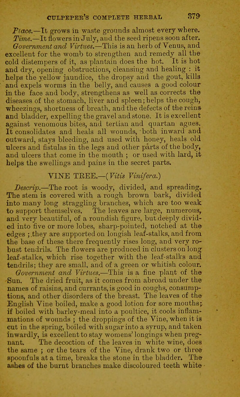 place.—Tt grows in waste grounds almost everywhere. Time.—It flowers in July, and the seed ripens soon after. Qovemment and Virtues.—This is an herb of Venus, and excellent for the womb to strengthen and remedy all th& cold distempers of it, as plantain does the hot. It is hot and dry, opening obstructions, cleansing and healing : it helps the yellow jaundice, the dropsy and the gout, kills and expels worms in the belly, and causes a good colour in the face and body, strengthens as well as corrects the diseases of the stomach, liver and spleen;helps the cough, ■wheezings, shortness of breath, and the defects of the reina and bladder, expelling the gravel and stone. It is excellent against venomous bites, and tertian and quartan agues. It consolidates and heals all wounds, both inward and outward, stays bleeding, and used with honey, heals old ulcers and fistulas in the legs and other parts of the body, and ulcers that come in the mouth ; or used with lard, it helps the swellings and pains in the secret parts. YINE TEEE.—(FiVis Vinifera.) Deserip.—The root is woody, divided, and spreading. The stem is covered with a rough brown bark, divided into many long straggling branches, which are too weak to support themselves. The leaves are large, numerous,, and very beautiful, of a roundish figure, but deeply divid- ed into five or more lobes, sharp-pointed, notched at the edges ;.they are supported on longish leaf-stalks, and from the base of these there frequently rises long, and very ro- bust tendrils. The flowers are produced in clusters on long^ leaf-stalks, which rise together with the leaf-stalks and tendrils; they are small, and of a green or whitish colour. Government and Virtues.—This is a fine plant of the •Sun. The dried fruit, as it comes from abroad under the names of raisins, and currants,is good in coughs, consump- tions, and other disorders of the breast. The leaves of the English Vine boiled, make a good lotion for sore mouths^ if boiled with barley-meal into a poultice, it cools inflam- mations of wounds ; the droppings of the Vine, when it ia cut in the spring, boiled with sugar into a syrup, and taken inwardly, is excellent to stay womens' longings when preg- nant. The decoction of the leaves in white wine, does the same ; or the tears of the Vine, drank two or three spoonfuls at a time, breaks the stone in the bladder. The aahes of the burnt branches make discoloured teeth white