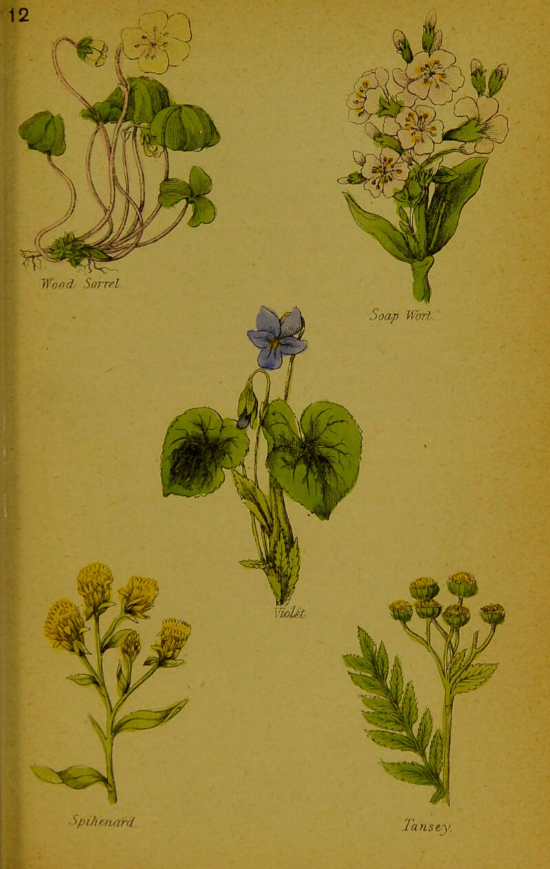 No text description is available for this image