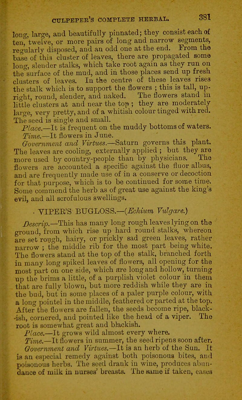 long, large, and beautifully pinnated; they consist each of ten° twelve, or more paira of long and narrow segments, regularly disposed, and an odd one at the end. From the base of thi.3 cluster of leaves, there are propagated some long, slender stalks, which take root again as they run on the°surface of the mud, and in those places send up fresh clusters of leaves. In the centre of these leaves rises the stalk which is to support the flowers ; this is tall, up- right, round, slender, and naked. The flowers stand m liUle clusters at and near the top ; they are moderately large, very pretty, and of a whitish colour tinged with red. The seed is single and small. Place.—It is frequent on the muddy bottoms of waters. Time.—It flowers in June. Government and Virtues.—Saturn governs this plant, dr The leaves are cooling, externally applied ; but they are more used by country-people than by physicians. The flowers are accounted a specific against the fluor albus, and are frequently made use of in a conserve or decoction for that purpose, which is to be continued for some time. Some commend the herb as of great use against the king's evil, and all scrofulous swellings. . VIPER'S BUGLOSS.—(^cAmm Vulgare.) J)escrip.—This has many long rough leaves lying on the P ground, from which rise up hard round stalks, whereon are set rough, hairy, or prickly sad green leaves, rather narrow ; the middle rib for the most part being white. The flowers stand at the top of the stalk, branched forth in many long spiked leaves of flowers, all opening for the most part on one side, which are long and hollow, turning up the brims a little, of a purplish violet colour in them that are fully blown, but more reddish while they are in the bud, but in some places of a paler purple colour, with a long pointel in the middle, feathered or parted at the top. After the flowers are fallen, the seeds become ripe, black- -ish, cornered, and pointed like the head of a viper. The root is somewhat great and blackish. Place.—It grows wild almost every where. Time.—It flowers in summer, the seed ripens soon after. Oovernment and Virtues.—It is an herb of the Sun. It is an especial remedy against both poisonous bites, and poisonous herbs. The seed drank in wine, produces abun- dance of milk in nurses' breasts. The same if taken, eases