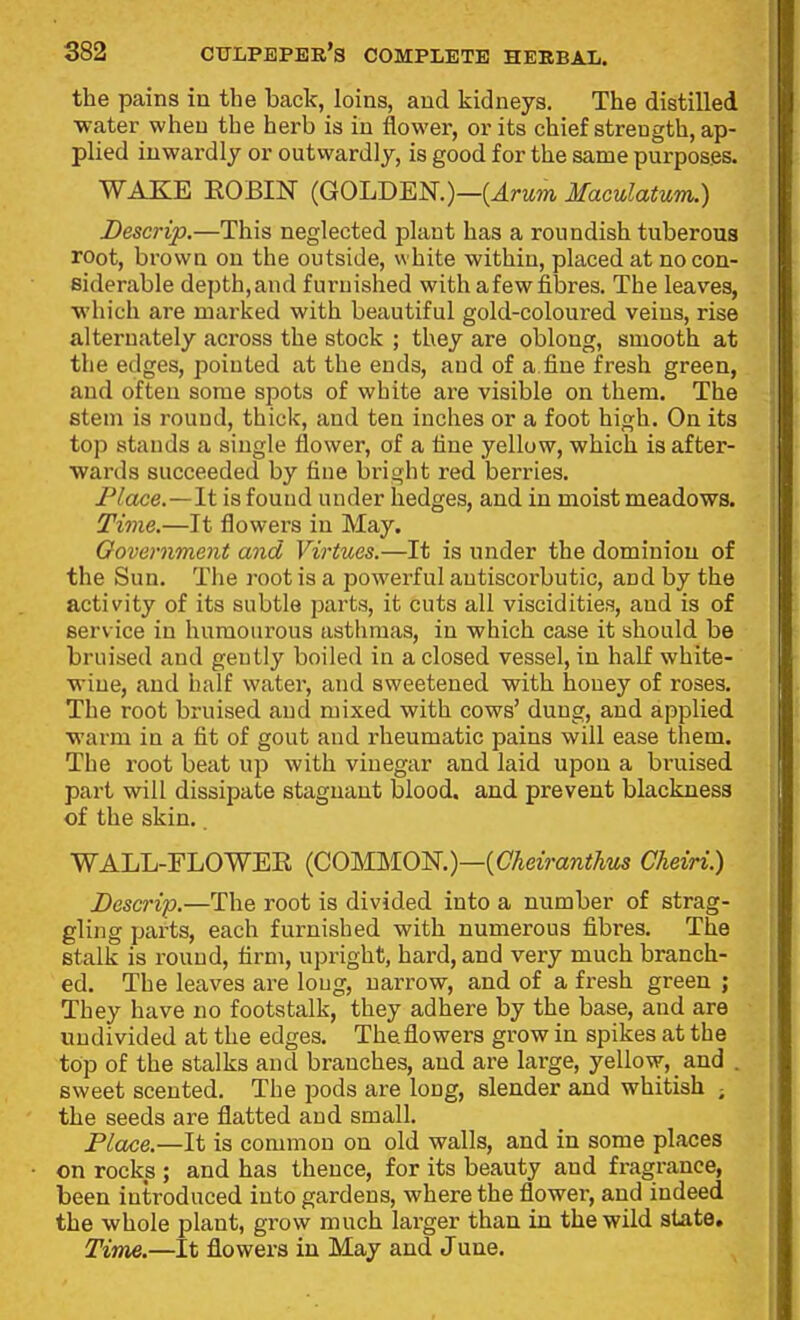 the pains in the back, loins, and kidneys. The distilled •water when the herb is in flower, or its chief strength, ap- plied inwardly or outwardly, is good for the same purposes. WAKE EOBIN (GOLDEN.)—(^rwwi Maculatum.) Descrip.—This neglected plant has a roundish tuberous root, brown on the outside, white within, placed at no con- siderable depth,and furnished with a few fibres. The leaves, ■which are marked with beautiful gold-coloui-ed veins, rise alternately across the stock ; they are oblong, smooth at the edges, pointed at the ends, and of a fine fresh green, and often some spots of white are visible on them. The stem is round, thick, and ten inches or a foot high. On its top stands a single flower, of a fine yellow, which is after- wards succeeded by fine bright red berries. Place.—It is found under hedges, and in moist meadows. Time.—It flowers in May. Ooveniment and Virtues.—It is under the dominion of the Sun. The root is a powerful antiscorbutic, and by the activity of its subtle parts, it cuts all viscidities, and is of service in humoui-ous asthmas, in which case it should be bruised and gently boiled in a closed vessel, in half white- wine, and half water, and sweetened with honey of roses. The root bruised and mixed with cows' dung, and applied warm in a fit of gout and rheumatic pains will ease them. The root beat up with vinegar and laid upon a bruised part will dissipate stagnant blood, and prevent blackness of the skin. WALL-ELOWEE {COMMO']^.)—{Cheiranthus CheiH.) Descrip.—The root is divided into a number of strag- gling pai'ts, each furnished with numerous fibres. The stalk is round, firm, upright, hard, and very much branch- ed. The leaves are long, narrow, and of a fresh green ; They have no footstalk, they adhere by the base, and are undivided at the edges. Theflowers grow in spikes at the top of the stalks and branches, and are large, yellow, and . sweet scented. The pods are long, slender and whitish ; the seeds are flatted and small. Place.—It is common on old walls, and in some places on rocks ; and has thence, for its beauty and fragrance, been introduced into gardens, where the flower, and indeed the whole plant, grow much larger than in the wild state. Time.—It flowers in May and June.
