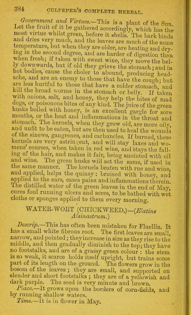 Government and Virtues—This is a plant of the Sun Let the fruit of it be gathered accordingly, which has the most virtue whilst green, before it shells. The bark binds and dries very much, and the leaves are ranch of the same temperature, but when they are older, are heatiua and dry- ing m the second degree, and are harder of digestion than wlien fresh; if taken with sweet wine, they move the bel- ly downwards, but if old they grieve the stomach: and in hot bodies, cause the choler to abound, producintr head- ache, and are an enemy to those that have the courrh- but are less hurtful to those that have a colder stomach, and kill the broad worms in the stomach or belly. If taken with onions, salt, and honey, they help the bites of mad dogs, or poisonous bites of any kind. The juice of the green husks boiled with honey, is an excellent gargle for sore mouths, or the heat and inflammations in the throat and stomach. The kernels, when they grow old, are more oily, and unht to be eaten, but are then used to heal the wounds of the sinews, gangrenes, and carbuncles. If burned, these kernels are very astrin-ent, and will stay laxes and wo- mens courses, when taken in red wine, and stays the fall- ing o. the hair, and makes it fair, being anointed with oil and wine. The green husks will act the same, if used in the same manner. The kernels beaten with rue and wine and applied, helps the quinsy: bruised with honey, and applied to the ears, eases pains and inflammations therein. The distilled water of the green leaves in the end of May* cures foul running ulcers and sores, to be bathed with wet cloths or sponges applied to them every morning. WATEE-WOET(CHICKWEED.)-(^(faimfl Alsinastrum.) Descrip—This has often been mistaken for Fluellin. It has a small white fibrous root. The first leaves are small, narrow, and pointed; they increase in size as they rise to the middle, and then gradually diminish to the top; they have no footstalks, and are of a grassy green colour : the stem is so weak, it scarce holds itself upright, but trains some part of its length on the ground. The flowers grow in the bosom of the leaves ; they are small, and supported on slender and short footstalks ; they are of a yellowish and dark purple. The seed is very minute and brown. Place.—It grows upon the borders of corn-fields, and by running shallow waters. Time,—It is in flower in May.
