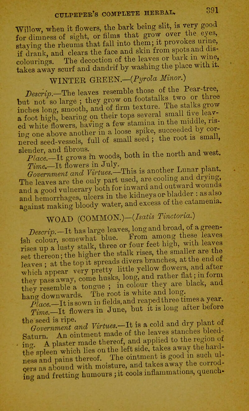 91 Willow, when it flowers, the bark being slit, is very good for dimness of sight, or Alms that grow o^^r the e^es, staying the rheums that fall into them; it Provokes urine, if draSk, and clears the face and skin from spo sand d s- colourings. The decoction of the leaves or bark in wine, Sees away scurf and dandrif by washing the place with it. WINTER GREEN.—(P^/roZa Minor.) Descriv —The leaves resemble those of the Pear-tree, baf :Ko large ; they grow o^foo/stalks two or t, inches long, smooth, and of firm texture The falks grow a foot high, bearing on their tops several ^^^11 1^^;. ed white flowers, having a few stamina m ^he middle, ns inr' one above another in a loose spike, succeeded by cor i^red Led-vessels, full of small seed ; the root is small, ''%'S.-?t grow?'m woods, both in the north and west. Time It flowers in July. , ^ , . oZtnr^ent and nrtuesf-This is another Luxiar plant. The leaves are the only part used, are eoolmg and drymg, and a good vulnerary both for inward and o itwardwound^ and hemorrhages, nlcers in the Sidneys or b adder a^^^^^^ against makin| bloody water, and excess of the catamenia. WOAD (COMISION.)—(7sa!;is Tinctoria.) Bescyrip -It has large leaves, long and broad of a green- ish colX, somewhat blue. From among these eaves rises np a usty stalk, three or four feet high, with leaves Tet Seon; the higher the stalk rises, the sma ler are the leaves at the top it spreads divers branches, atthe end of ^^T IZ^^^T vPTV nrettv little yeUow flowers, and after ThefpaiCay c^mK!^^^ longhand rather flat; inform tEey?esem\,e'^; tongue ; incolonr they are black, and Lmr downwards. The root is white and long. lliniti sown in fields,and reapedthree times a year T[Ze:-lt flowers in June, but it is long after before %Zti^ntand Virtues.-lt is a cold and dry plant of SatTn An ointment made of the leaves stanches bleed- . fn. A p^ter made thereof, and applied to the region of thf spSen which lies on the left side, takes away the hard- ness and pains thereof. The ointment is good in such u - as abound with moisture, and takes away the corrod- ing and fretting humours ; it cools inflammations, quench.