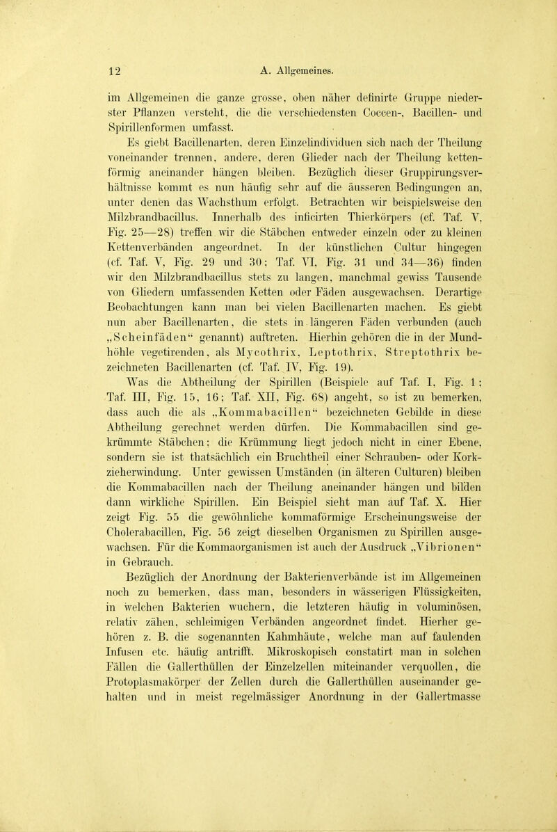 im Allgemeinen die ganze grosse, oben näher definirte Gruppe nieder- ster Pflanzen versteht, die die verschiedensten Coccen-, Bacillen- und Spirillenformen umfasst. Es gieht Bacillenarten, deren Einzelindividuen sich nach der Theilung voneinander trennen, andere, deren Glieder nach der Theilung ketten- förmig aneinander hängen bleiben. Bezüglich dieser Gruppirungsver- hältnisse kommt es nun häufig sehr auf die äusseren Bedingungen an, unter denen das Wachsthum erfolgt. Betrachten wir beispielsweise den Milzbrandbacillus. Innerhalb des inlicirten Thierkörpers (cf. Taf. V, Fig. 25—28) treffen wir die Stäbchen entweder einzeln oder zu kleinen Kettenverbänden angeordnet. In der künstlichen Cultur hingegen (cf. Taf. V, Fig. 29 und 30; Taf. VI, Fig. 31 und 34—36) finden wir den Milzbrandbacillus stets zu langen, manchmal gewiss Tausende von Gliedern umfassenden Ketten oder Fäden ausgewachsen. Derartige Beobachtungen kann man bei vielen Bacillenarten machen. Es giebt nun aber Bacillenarten, die stets in längeren Fäden verbunden (auch „Scheinfäden genannt) auftreten. Hierhin gehören die in der Mund- höhle vegetirenden, als Mycothrix, Leptothrix, Streptothrix be- zeichneten Bacillenarten (cf. Taf. IV, Fig. 19). Was die Abtheilung der Spirillen (Beispiele auf Taf. I, Fig. 1; Taf. IE, Fig. 15, 16; Taf. XII, Fig. 68) angeht, so ist zu bemerken, dass auch die als „Kommabacillen bezeichneten Gebilde in diese Abtheilung gerechnet werden dürfen. Die Kommabacillen sind ge- krümmte Stäbchen; die Krümmung liegt jedoch nicht in einer Ebene, sondern sie ist thatsächlich ein Bruchtheil einer Schrauben- oder Kork- zieherwindung. Unter gewissen Umständen (in älteren Culturen) bleiben die Kommabacillen nach der Theilung aneinander hängen und bilden dann wirkliche Spirillen. Ein Beispiel sieht man auf Taf. X. Hier zeigt Fig. 55 die gewöhnliche kommaförmige Erscheinungsweise der Cholerabacillen, Fig. 56 zeigt dieselben Organismen zu Spirillen ausge- wachsen. Für die Kommaorganismen ist auch der Ausdruck „Vibrionen in Gebrauch. Bezüglich der Anordnimg der Bakterienverbände ist im Allgemeinen noch zu bemerken, dass man, besonders in wässerigen Flüssigkeiten, in welchen Bakterien wuchern, die letzteren häufig in voluminösen, relativ zähen, schleimigen Verbänden angeordnet findet. Hierher ge- hören z. B. die sogenannten Kahmhäute, welche man auf faulenden Infusen etc. häufig antrifft. Mikroskopisch constatirt man in solchen Fällen die Gallerthüllen der Einzelzellen miteinander verquollen, die Protoplasmakörper der Zellen durch die Gallerthüllen auseinander ge- halten und in meist regelmässiger Anordnung in der Gallertmasse