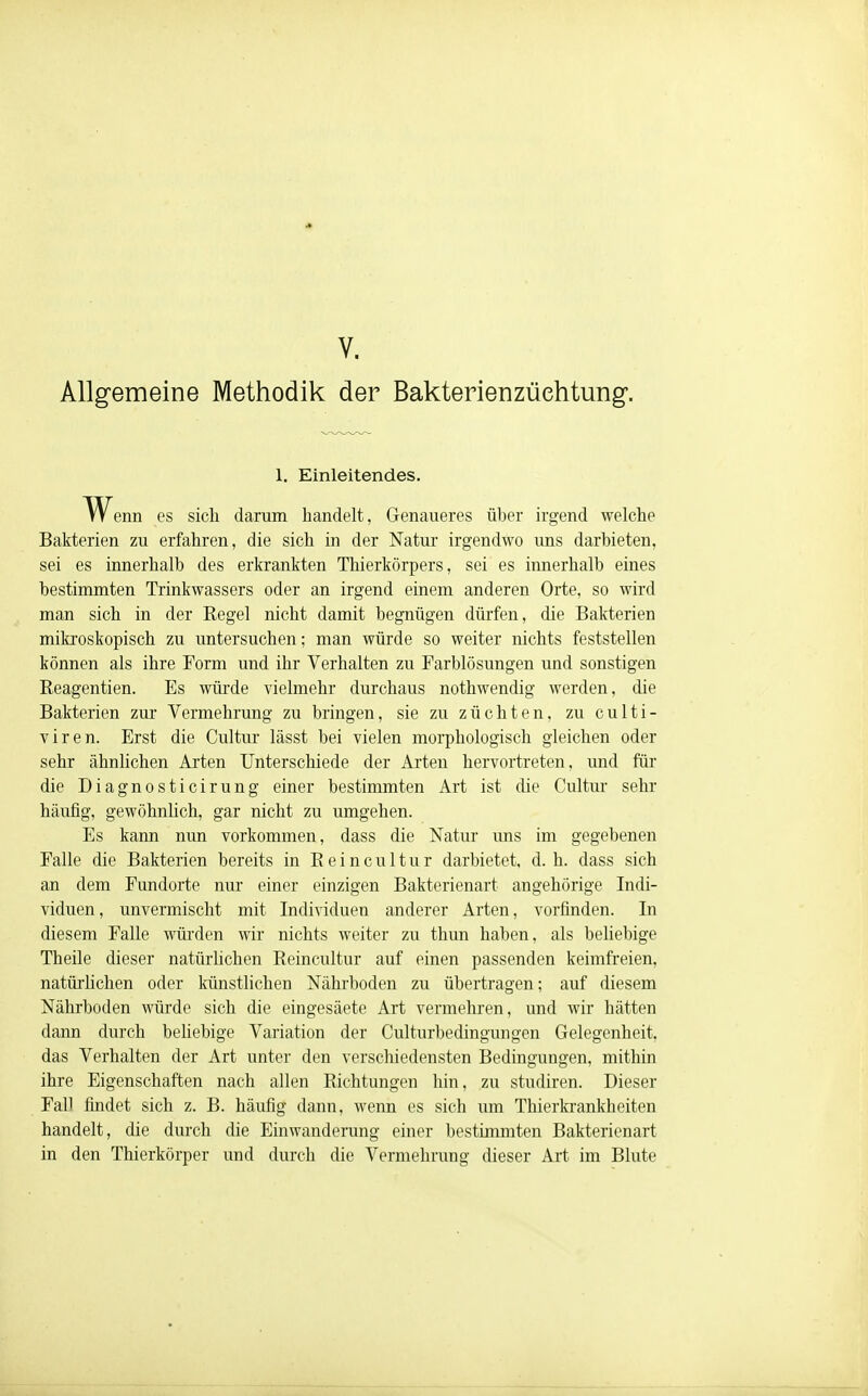 Allgemeine Methodik der Bakterienzüehtung. w enn es sich darum handelt, Genaueres über irgend welche Bakterien zu erfahren, die sich in der Natur irgendwo uns darbieten, sei es innerhalb des erkrankten Thierkörpers, sei es innerhalb eines bestimmten Trinkwassers oder an irgend einem anderen Orte, so wird man sich in der Regel nicht damit begnügen dürfen, die Bakterien mikroskopisch zu untersuchen: man würde so weiter nichts feststellen können als ihre Form und ihr Verhalten zu Farblösungen und sonstigen Reagentien. Es würde vielmehr durchaus nothwendig werden, die Bakterien zur Vermehrung zu bringen, sie zu züchten, zu culti- viren. Erst die Cultur lässt bei vielen morphologisch gleichen oder sehr ähnlichen Arten Unterschiede der Arten hervortreten, und für die Diagnosticirung einer bestimmten Art ist die Cultur sehr häufig, gewöhnlich, gar nicht zu umgehen. Es kann nun vorkommen, dass die Natur uns im gegebenen Falle die Bakterien bereits in Reincultur darbietet, d.h. dass sich an dem Fundorte nur einer einzigen Bakterienart angehörige Indi- viduen, unvermischt mit Individuen anderer Arten, vorfinden. In diesem Falle würden wir nichts weiter zu thun haben, als beliebige Theile dieser natürlichen Reincultur auf einen passenden keimfreien, natürlichen oder künstlichen Nährboden zu übertragen; auf diesem Nährboden würde sich die eingesäete Art vermehren, und wir hätten dann durch behebige Variation der Culturbedingungen Gelegenheit, das Verhalten der Art unter den verschiedensten Bedingungen, mithin ihre Eigenschaften nach allen Richtungen hin, zu studiren. Dieser Fall findet sich z. B. häufig dann, wenn es sich um Thierkrankheiten handelt, die durch die Einwanderung einer bestimmten Bakterienart in den Thierkörper und durch die Vermehrung dieser Art im Blute 1. Einleitendes.