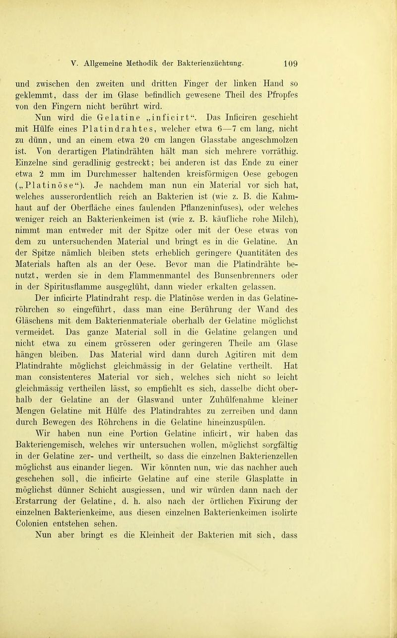 und zwischen den zweiten und dritten Finger der linken Hand so geklemmt, dass der im Glase befindlich gewesene Theil des Pfropfes von den Fingern nicht berührt wird. Nun wird die Gelatine „inficirt. Das Inficiren geschieht mit Hülfe eines Platindrahtes, welcher etwa 6—7 cm lang, nicht zu dünn, und an einem etwa 20 cm langen Glasstabe angeschmolzen ist. Von derartigen Platindrähten hält man sich mehrere vorräthig. Einzelne sind geradlinig gestreckt; bei anderen ist das Ende zu einer etwa 2 mm im Durchmesser haltenden kreisförmigen Oese gebogen („Platinöse). Je nachdem man nun ein Material vor sich hat, welches ausserordentlich reich an Bakterien ist (wie z. B. die Kahm- haut auf der Oberfläche eines faulenden Pfianzeninfuses), oder welches weniger reich an Bakterienkeimen ist (wie z. B. käufliche rohe Milch), nimmt man entweder mit der Spitze oder mit der Oese etwas von dem zu untersuchenden Material und bringt es in die Gelatine. An der Spitze nämlich bleiben stets erheblich geringere Quantitäten des Materials haften als an der Oese. Bevor man die Platindrähte be- nutzt, werden sie in dem Flammenmantel des Bunsenbrenners oder in der Spiritusflamme ausgeglüht, dann wieder erkalten gelassen. Der inficirte Platindraht resp. die Platinöse werden in das Gelatine- röhrchen so eingeführt, dass man eine Berührung der Wand des Gläschens mit dem Bakterienmateriale oberhalb der Gelatine möglichst vermeidet. Das ganze Material soll in die Gelatine gelangen und nicht etwa zu einem grösseren oder geringeren Theile am Glase hängen bleiben. Das Material wird dann durch Agitiren mit dem Platindrahte möglichst gleichmässig in der Gelatine vertheilt. Hat man consistenteres Material vor sich, welches sich nicht so leicht gleichmässig vertheilen lässt, so empfiehlt es sich, dasselbe dicht ober- halb der Gelatine an der Glaswand unter Zuhülfenahme kleiner Mengen Gelatine mit Hülfe des Platindrahtes zu zerreiben und dann durch Bewegen des Röhrchens in die Gelatine hineinzuspülen. Wir haben nun eine Portion Gelatine inficirt, wir haben das Bakteriengemisch, welches wir untersuchen wollen, möglichst sorgfältig in der Gelatine zer- und vertheilt, so dass die einzelnen Bakterienzellen möglichst aus einander liegen. Wir könnten nun, wie das nachher auch geschehen soll, die inficirte Gelatine auf eine sterile Glasplatte in möglichst dünner Schicht ausgiessen, und wir würden dann nach der Erstarrung der Gelatine, d. h. also nach der örtlichen Fixirung der einzelnen Bakterienkeime, aus diesen einzelnen Bakterienkeimen isolirte Colonien entstehen sehen. Nun aber bringt es die Kleinheit der Bakterien mit sich, dass