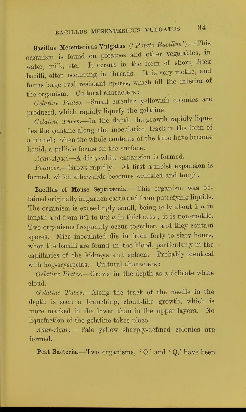 Bacillus Mesentericus Vulgatus {'Potato Bacillus').—This organism is found on potatoes and other vegetables, in water, milk, etc. It occurs in the form of short, thick bacilli, often occurring in threads. It is very motile, and forms large oval resistant spores, which fill the mterior of the organism. Cultural characters : Gelatine Plates.—Small circular yellowish colonies are produced, which rapidly liquefy the gelatine. Gelatine Tubes.—In the depth the growth rapidly lique- fies the gelatine along the inoculation track in the form of a funnel; when the whole contents of the tube have become liquid, a pellicle forms on the surface. Agar-Agar.—A dirty-white expansion is formed. Potatoes.—GroYfS rapidly. At first a moist expansion is formed, which afterwards becomes wrinkled and tough. Bacillus of Mouse Septicaemia.—This organism was ob- tained originally in garden earth and from putrefying liquids. The organism is exceedingly small, being only about 1 ^ in length and from O'l to 0-2 fi in thickness ; it is non-motile. Two organisms frequently occur together, and they contain spores. Mice inoculated die in from forty to sixty hours, when the bacilU are found in the blood, particularly in the capillaries of the kidneys and spleen. Probably identical with hog-erysipelas. Cultural characters : Gelatine Plates.—Grows in the depth as a dehcate white cloud. Gelatine Tubes.—Along the track of the needle in the depth is seen a branching, cloud-like growth, which is more marked in the lower than in the upper layers. No liquefaction of the gelatine takes place. Agar-Agar. — Pale yellow sharply-defined colonies are formed. Peat Bacteria.—Two organisms, ' 0 ' and * Q,' have been